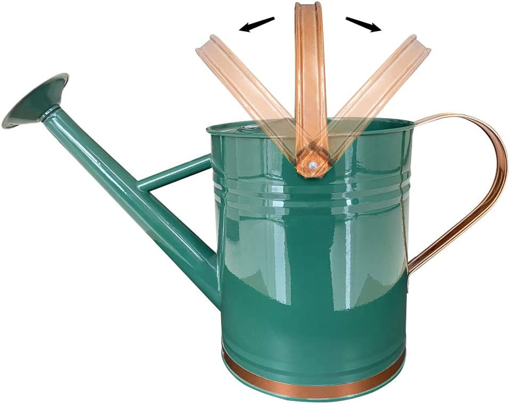 Metal Watering Can for Outdoor and Indoor Plants, Watering Can Decor, 1 Gallon (1 Gallon Green2) - 1 Gallon Black image number 6