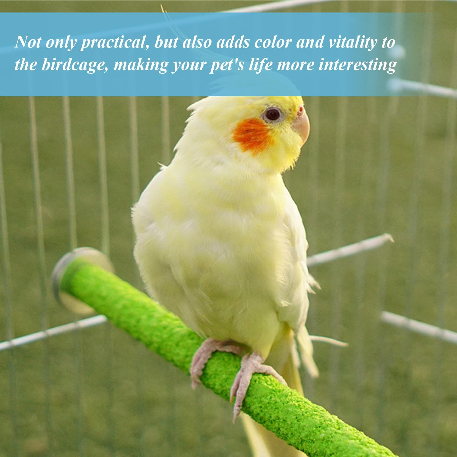 DUINIU Pack of 5 Parrot Claw Grinding Sticks, Bird Cage Claw Grinding Frame, Bird Claw Grinding Tools, Suitable for Budgies, Macaws and Green Parrots image number 2