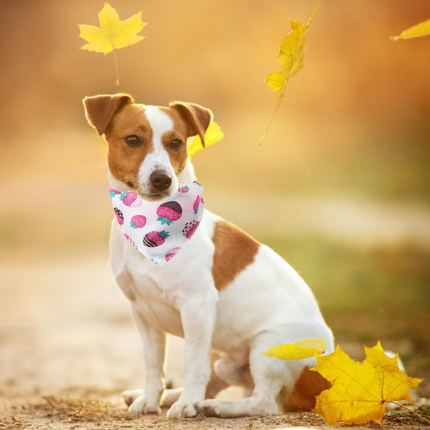 Dog Neckerchief, Adjustable Cat Kerchief Dog Neckerchief, Dog Neckerchief with Collar, Dog Neckerchiefs, Washable Triangle Dog Bibs, 2 Pieces Dog Bandanas, for Small and Medium Dogs (Pink + White, S) image number 4