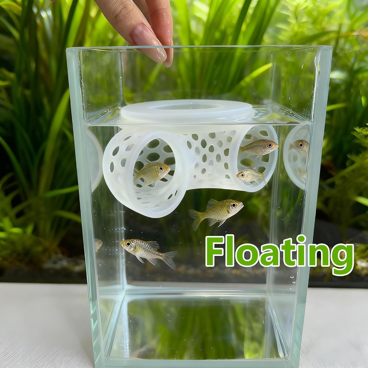 Hayaww Betta Tunnel Floating Betta Hiding Cave Hollow Betta Fish Tunnel Aquarium Decorative Cave Betta Cave Lounge Fish Shrimp Hideout Shelter Aquatic Pets Shrimp Cave (A) image number 6