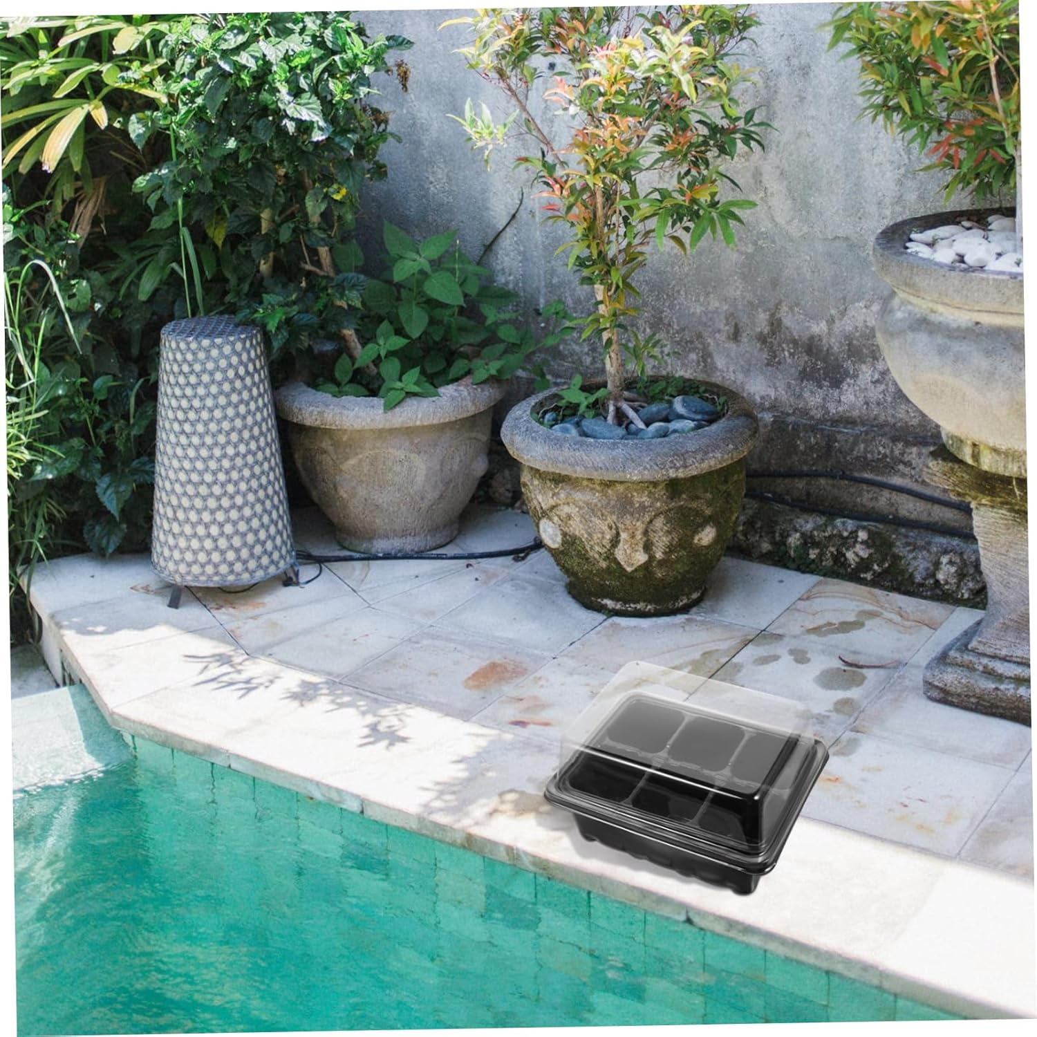 Garden Propagator Set 10 Pack Trays Lid and Bottom Holes for Healthy Plant Growth image number 3