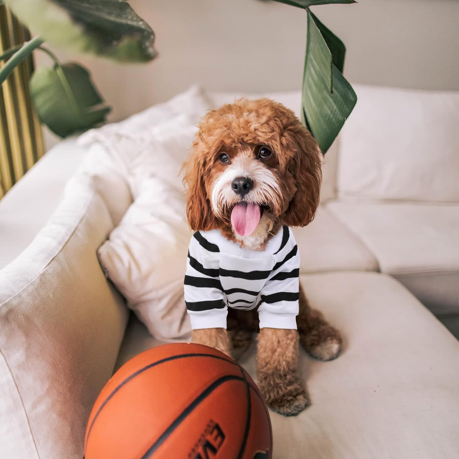 Pet Dog Striped T-Shirt Dogs Cats Vest Spring Summer Pet Apparel Tee Shirt Suitable for Small and Medium Large Pets (White, S) image number 3