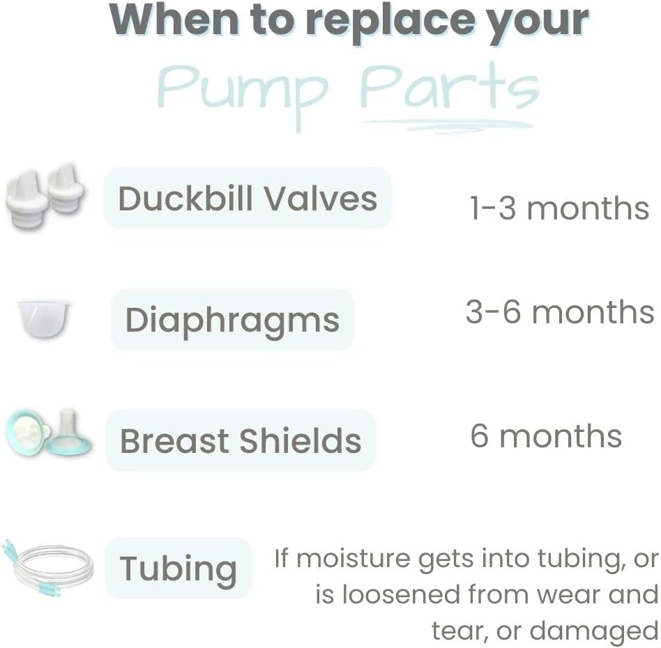 Zomee Diaphragm image number 3