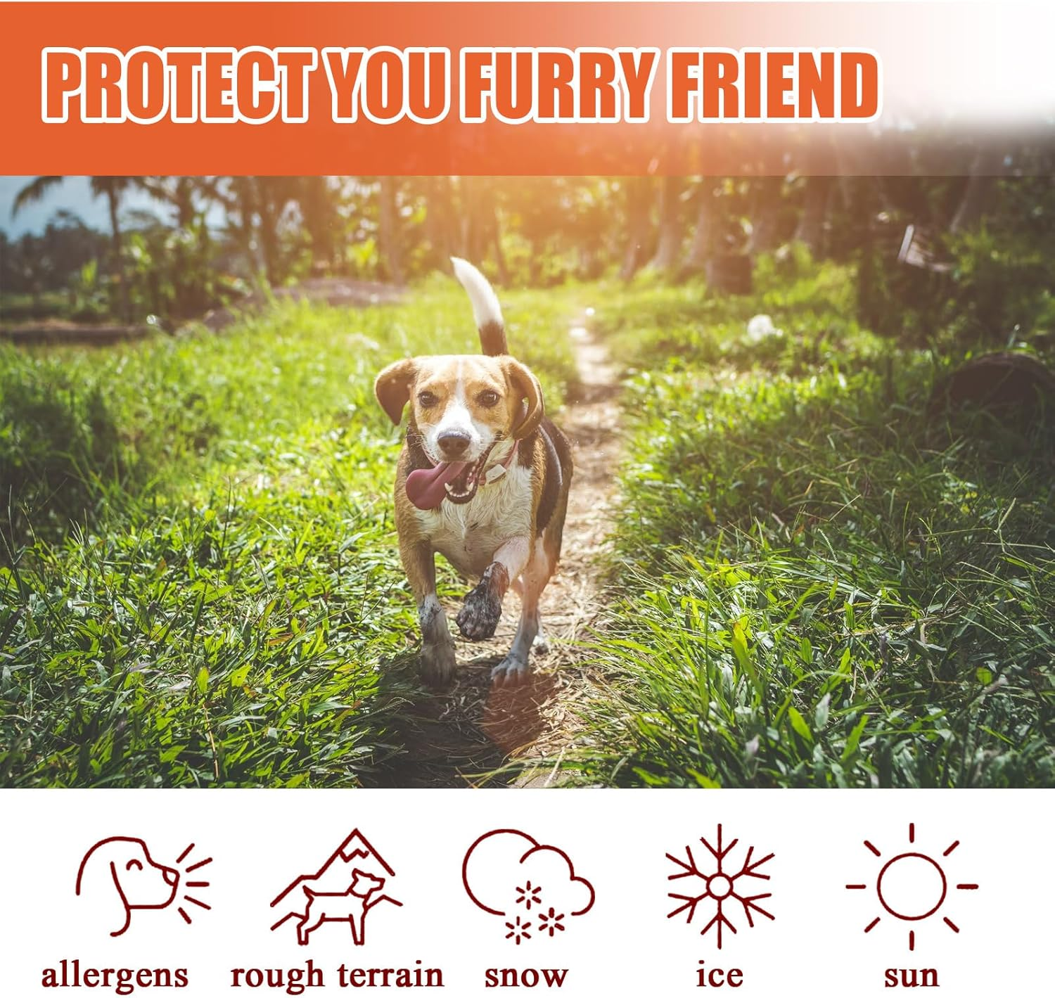 Pet Paw Balm for Dogs & Cats - 30G Paw Protection Balm, Relieves Cracking Paws & Nose, All-Season Paw Care for Rough Surfaces, Natural Healing Wax image number 2