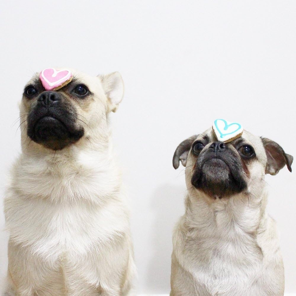 Huds and Toke Little Doggy Love Heart Cookies, Assorted, 5Pk