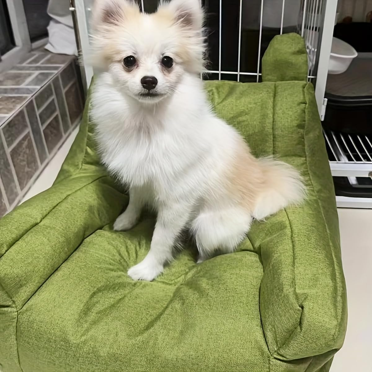 AIMALL Pet Sofa Chair, Plush Bear-Shaped Small Sofa for Cats & Small Dogs, Comfortable Lazy Lounge with Armrests, Non-Slip, Soft Cushion for Living Room & Bedroom - 3 Colours