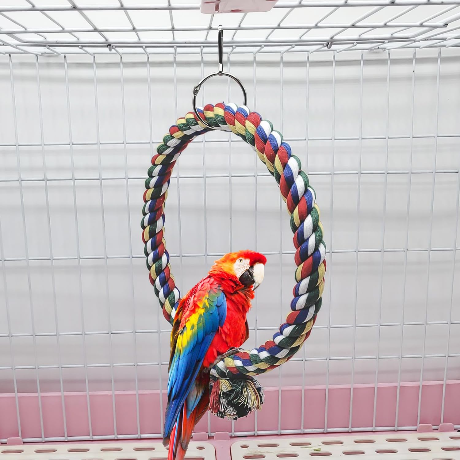 HOMURY Pack of 2 Bird Climbing Ropes: 150 Cm Parrot Colourful Spiral Cotton Rope, Diameter 18 Cm Parrot Toy Circle Ring Swing, Climbing Rope for Budgies, Cockatiels and All Birds image number 4