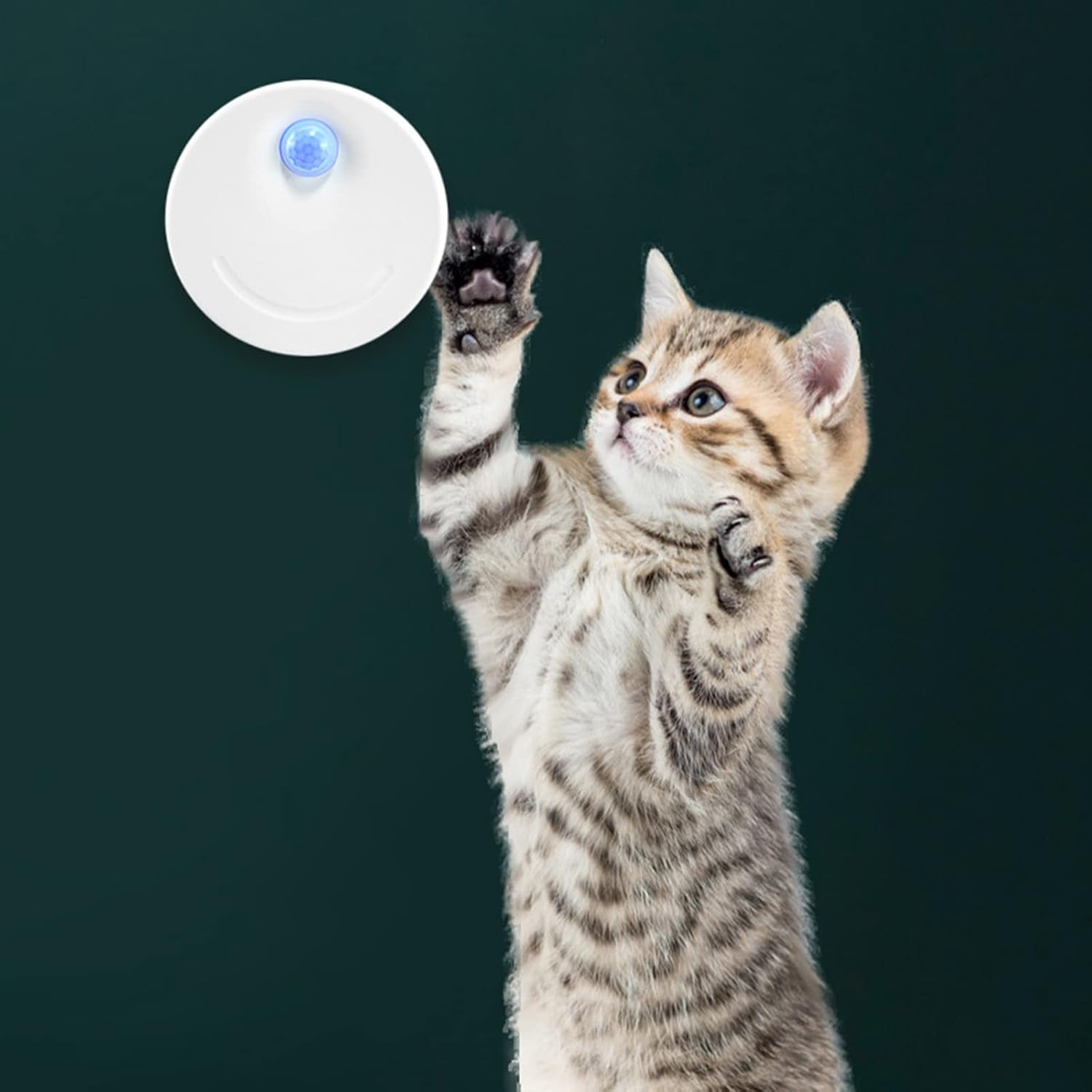 Cat Litter Deodorizer USB Rechargeable Litter Box Odor for Small Area Bathroom Pet House Wardrobe Kitchen Cat Litter Deodorizer Litter Box Odor Rechargeable Air Purifier Plug-In/658/2052 image number 3