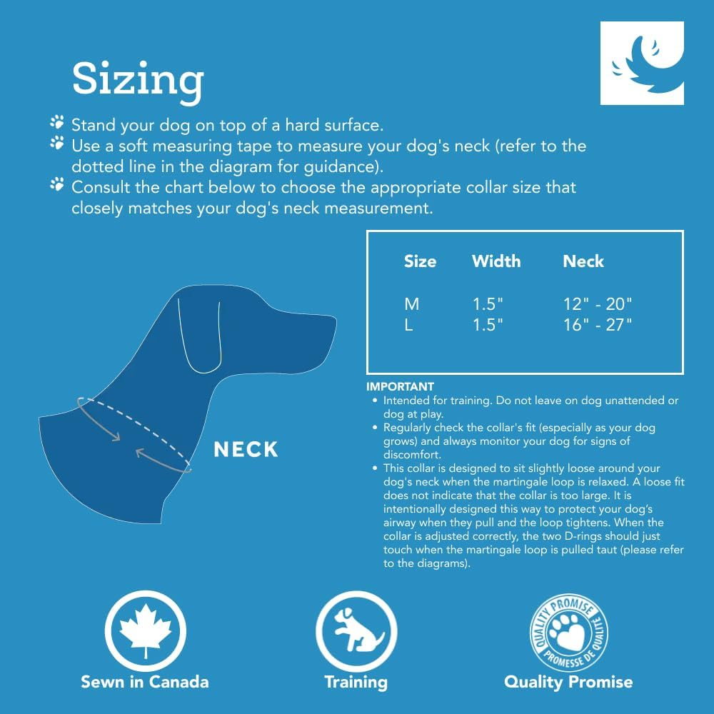 RC Pet Products 1-1/2-Inch All Webbing Martingale Dog Collar, Medium 12 to 20-Inch, Tan Tartan image number 7