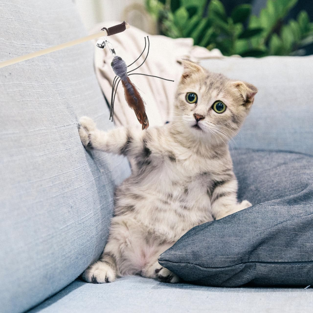 Toddmomy 3Pcs Cat Feathered Refills: Cat Toy Worm Refills Interactive Wands Attachment Toys for Kitten Indoor Accessories image number 6