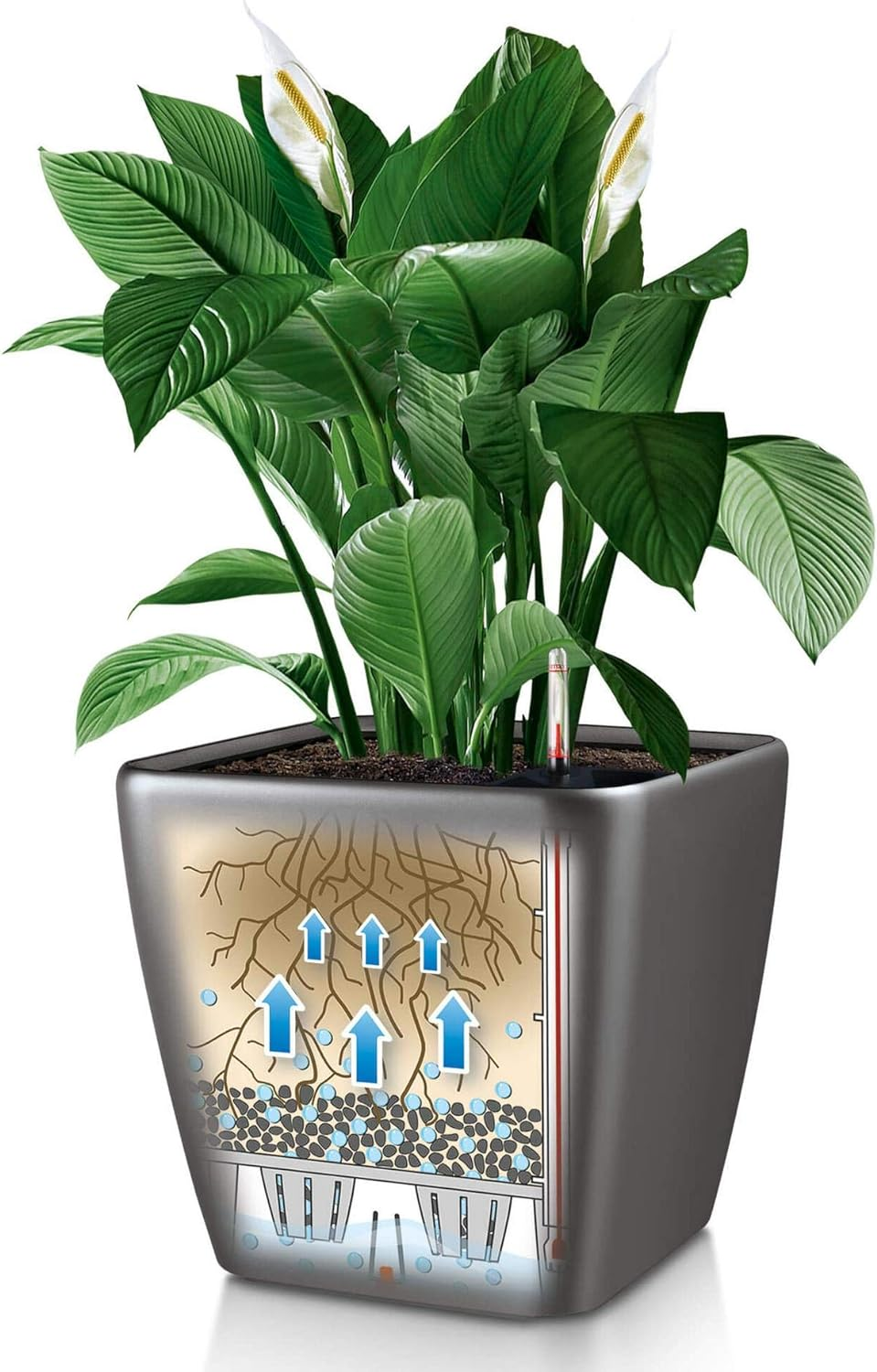 Lechuza Self Watering Plant Pot Quadro LS 21 Garden Flower Indoor and Outdoor Plastic Small Planter with Drainage Hole H20 L21 W21 Cm Black High-Gloss