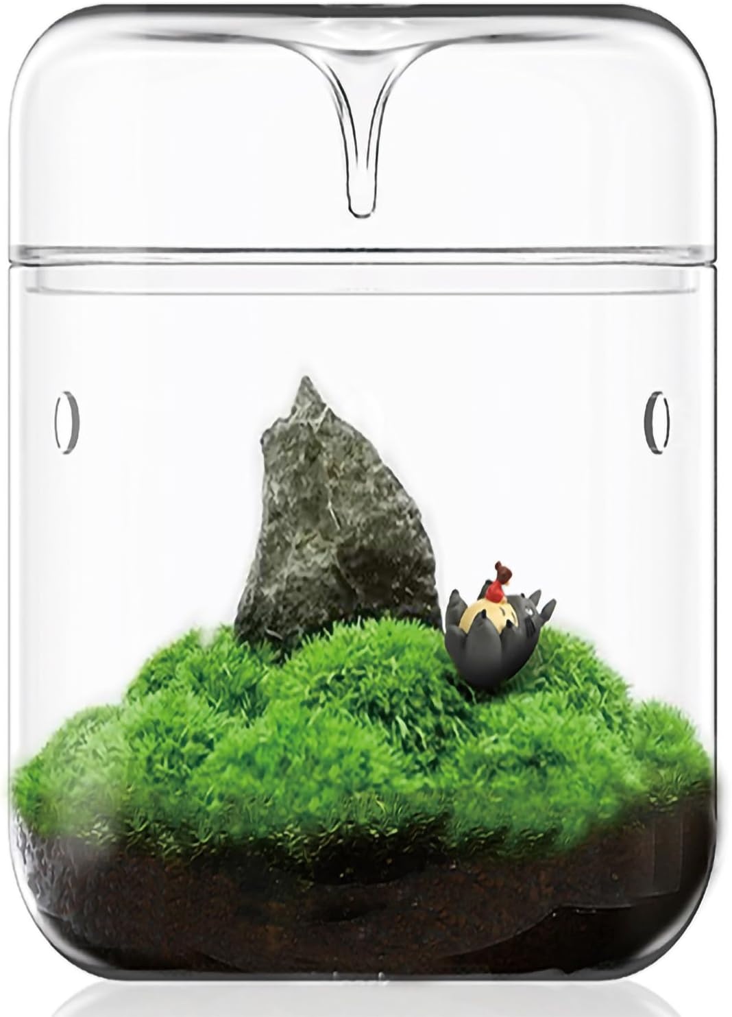 SARUFO Small Glass Plant Terrarium 4.7"X7" Inches Succulent Air Planter Fern Moss Micro-Landscape Vase for Home Garden Office Tabletop Decoration Container with Lid Indoor Wardian Copyright Patent