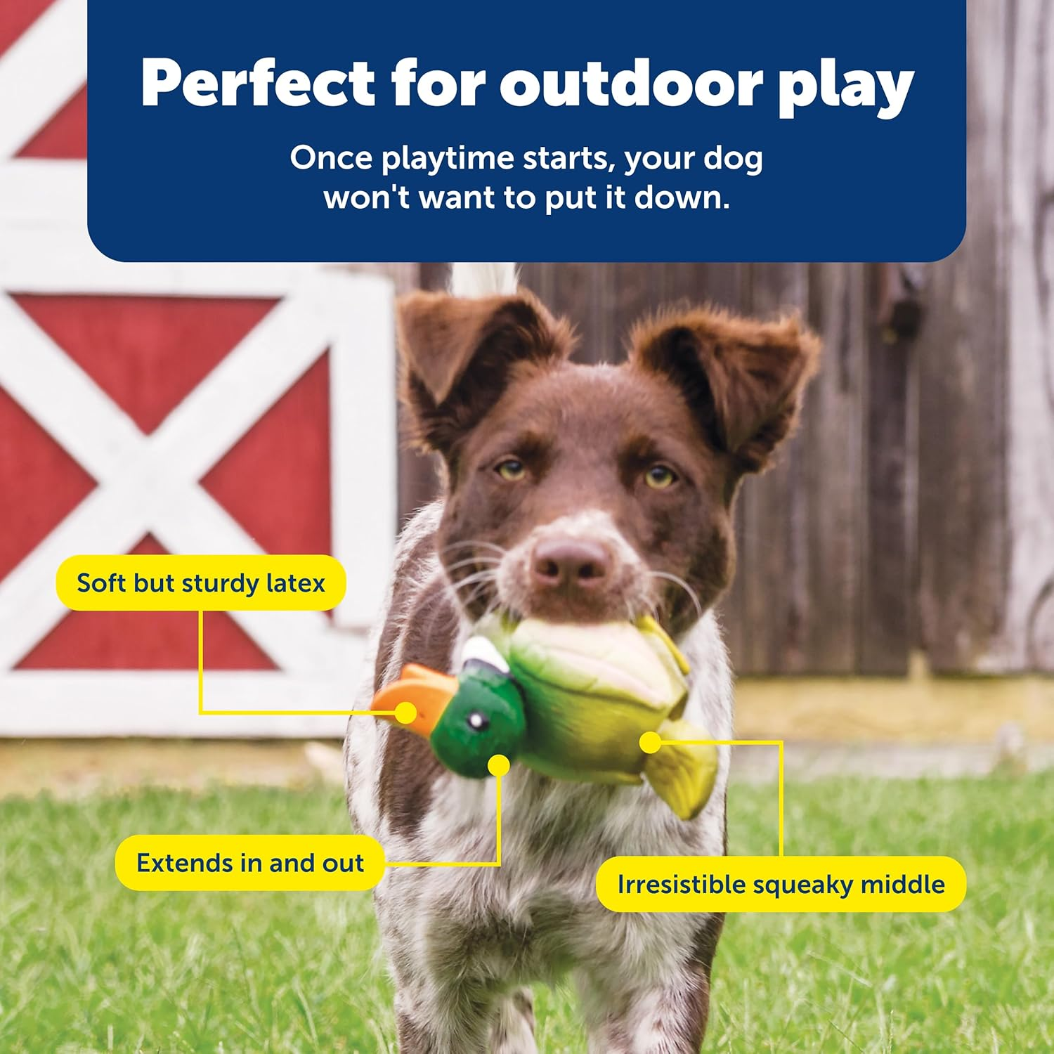 Petsafe Sportsmen Latex Squeeze Meeze Duck, Fun Squeeze Dog Toy with Squeaker image number 1