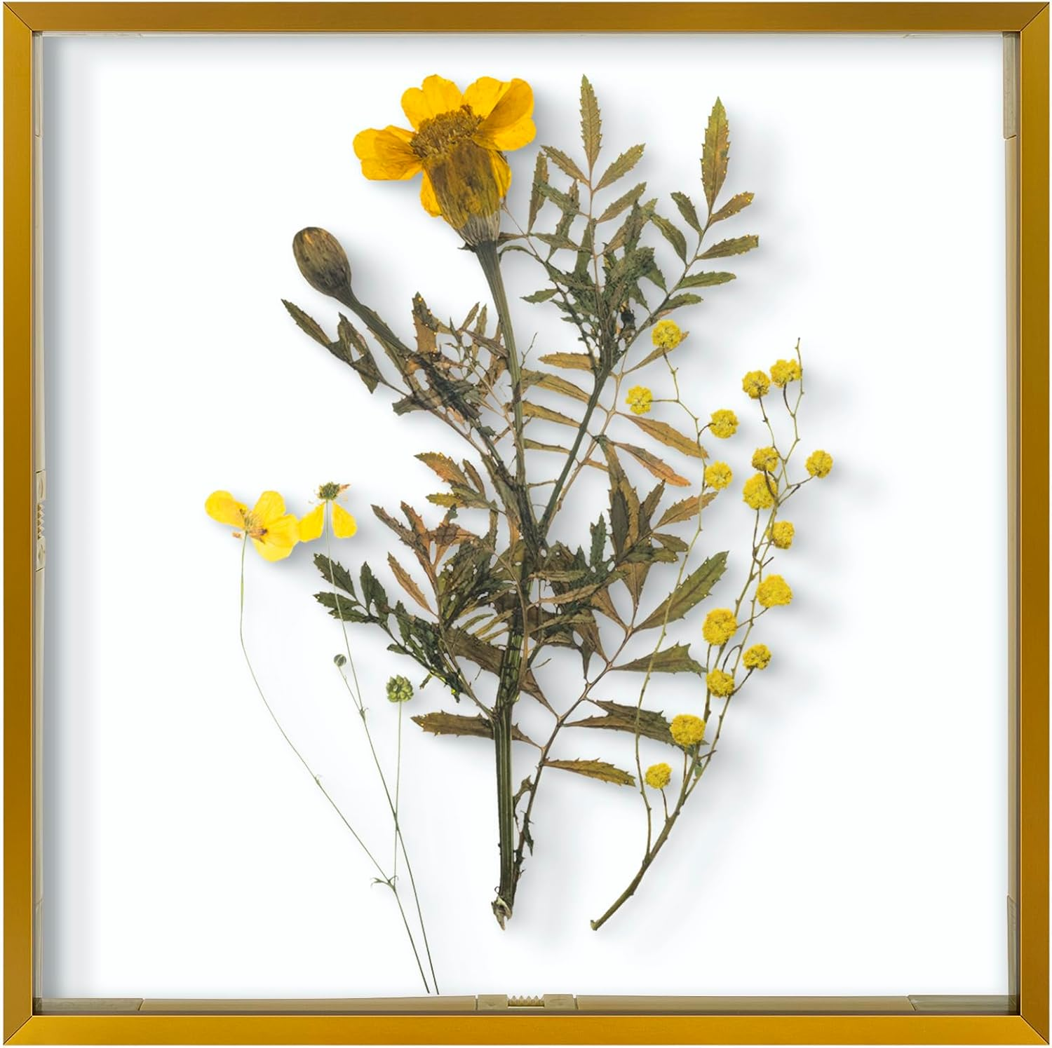 Frametory, Floating Picture Frame 8X10 - Black Aluminum Metal Photo Frame - Real Glass of Front - for Wall Mount Displays