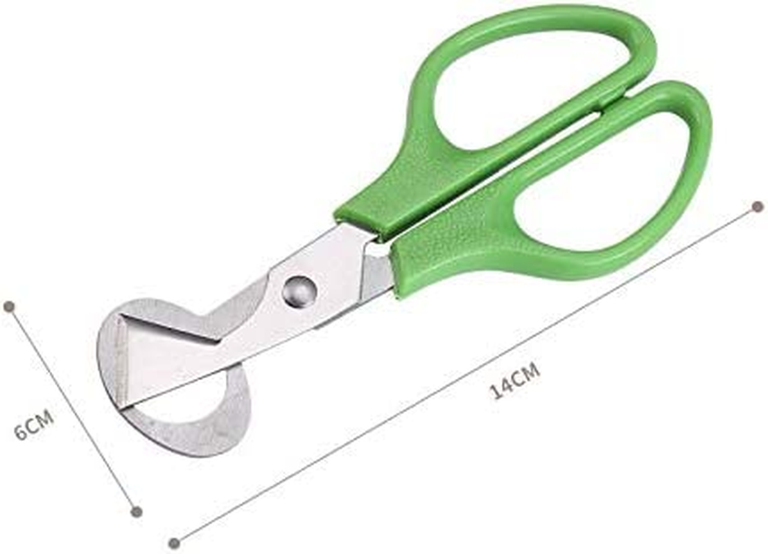 Stainless Steel Quail-Egg Cutter Scissors Kitchen Egg Shears Tool-4Pcs image number 3