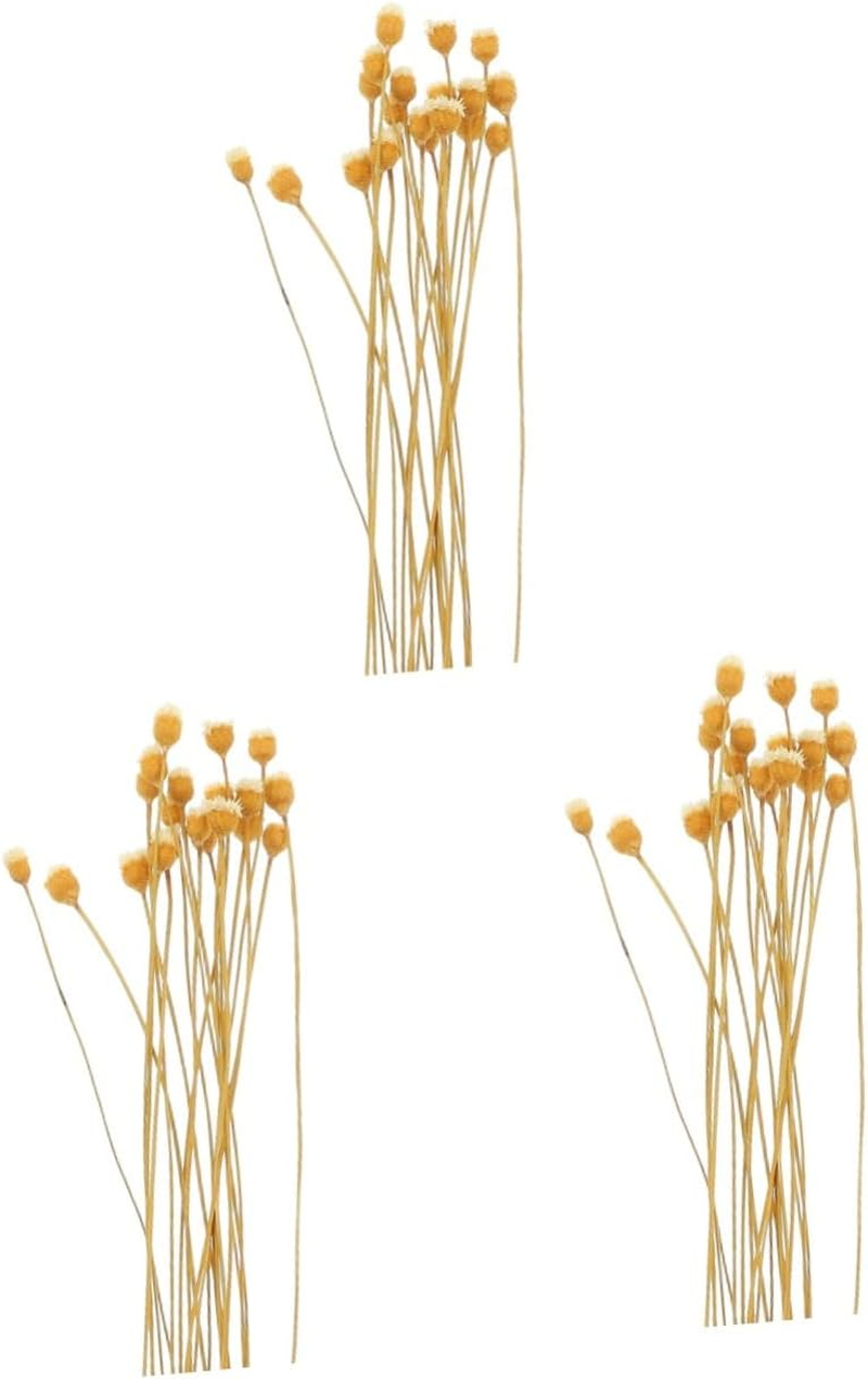 COHEALI 60Pcs Flower Reed Diffuser Stick Scented Sticks for Spa Aroma Diffusers Essential Oil Fragrance