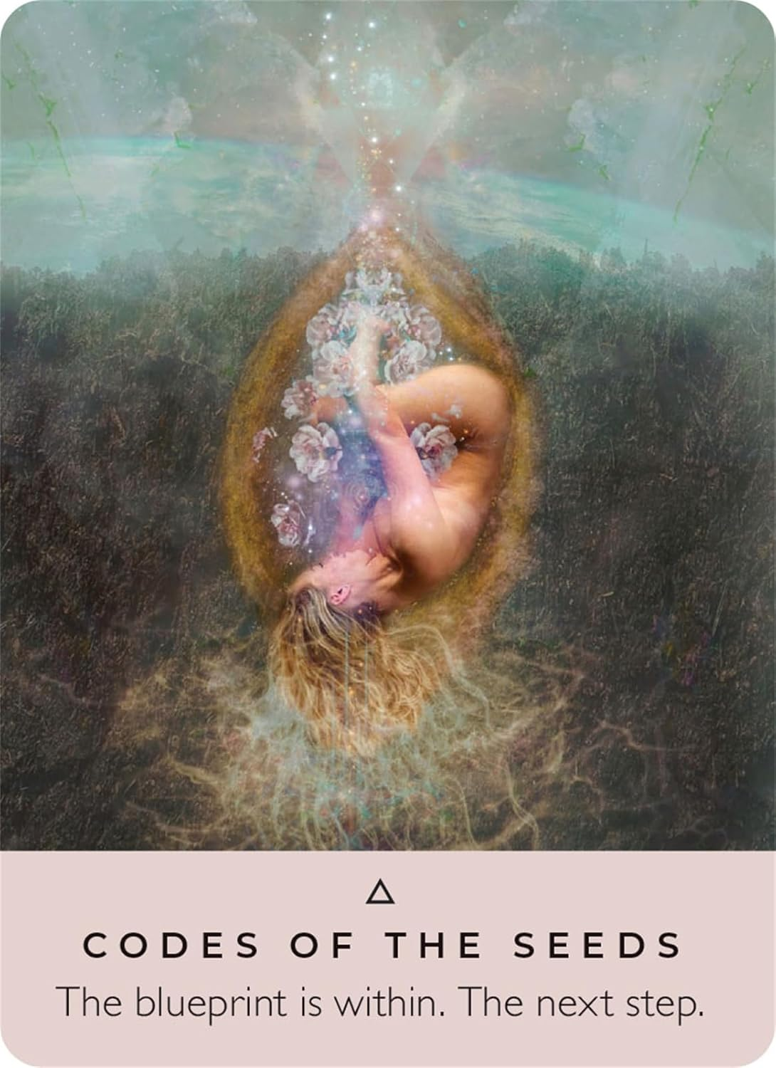 The Rose Pocket Oracle: a 44-Card Deck and Guidebook image number 1