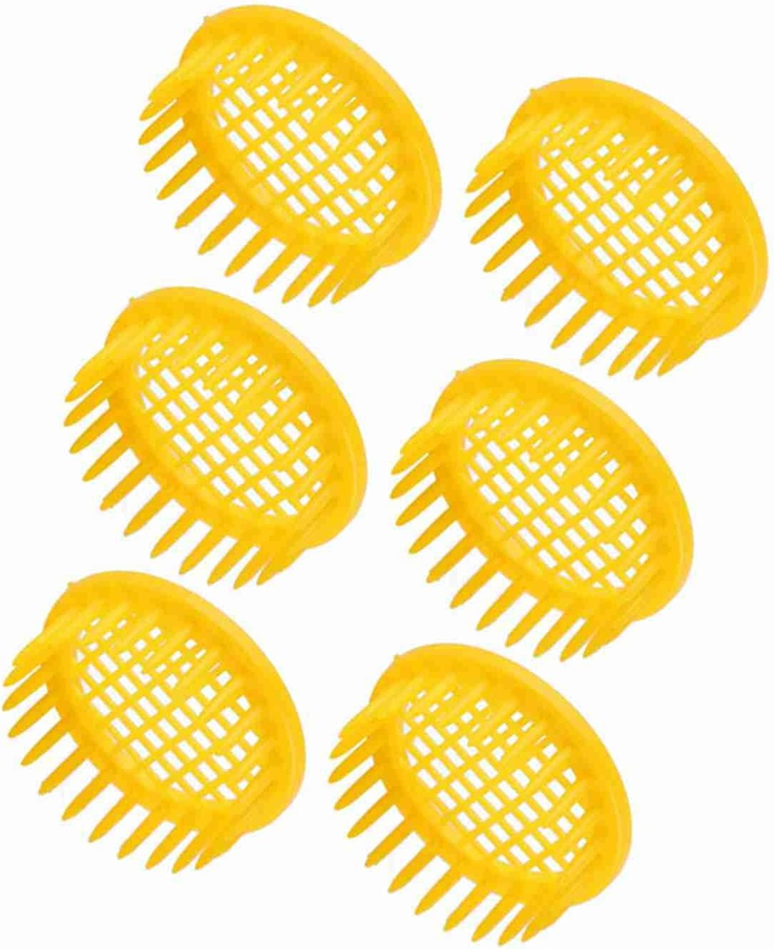 Bee Rearing Box Cell Beekeeping Equipment - 6 Pcs Bee Rearing Box, Beekeeping Tools for Isolation image number 6