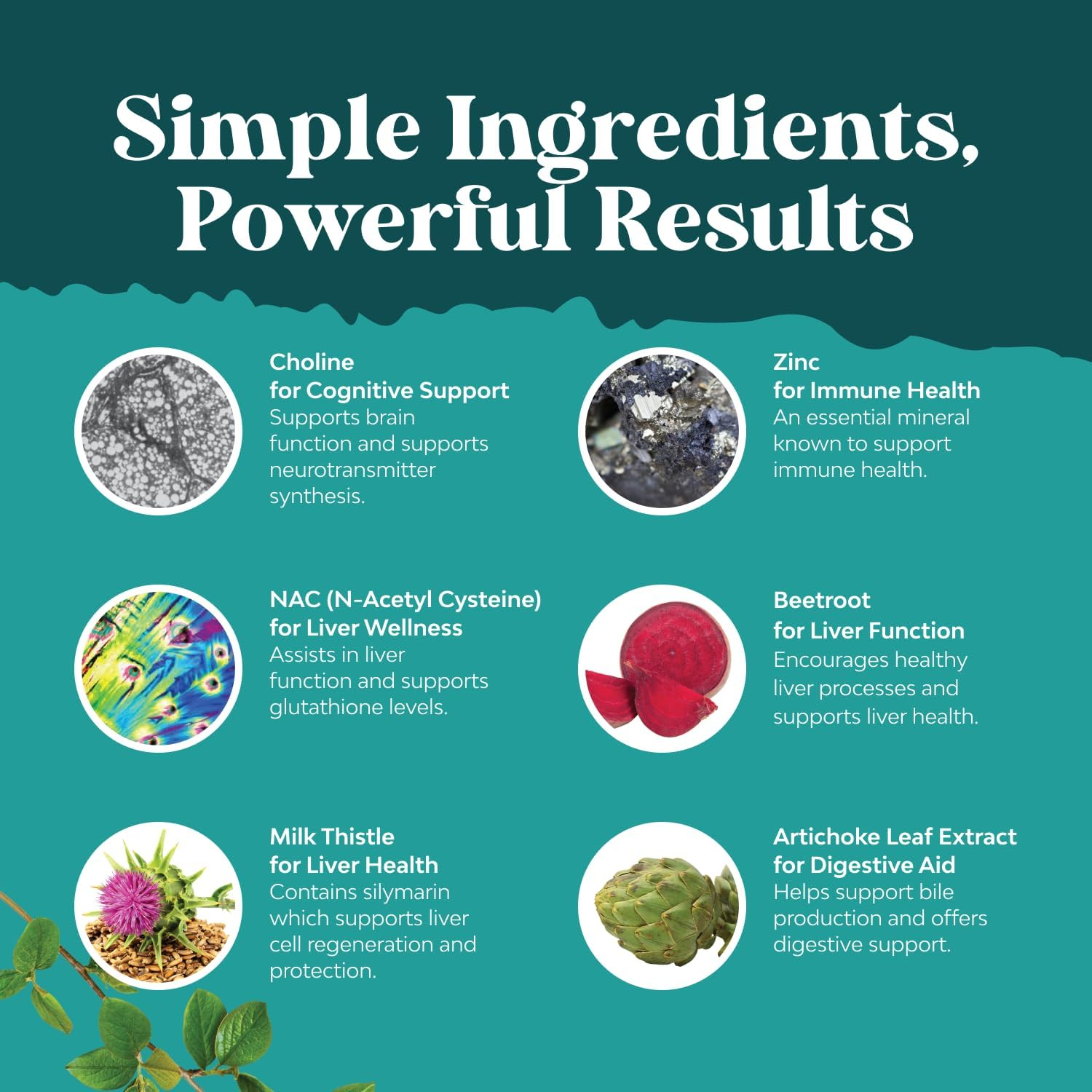 Natures Craft Liver Support Supplement with NAC - Herbal N Acetyl Cysteine Silymarin Milk Thistle Extract Dandelion Root Artichoke Choline Bitartrate and Berberine for Cleanse image number 2