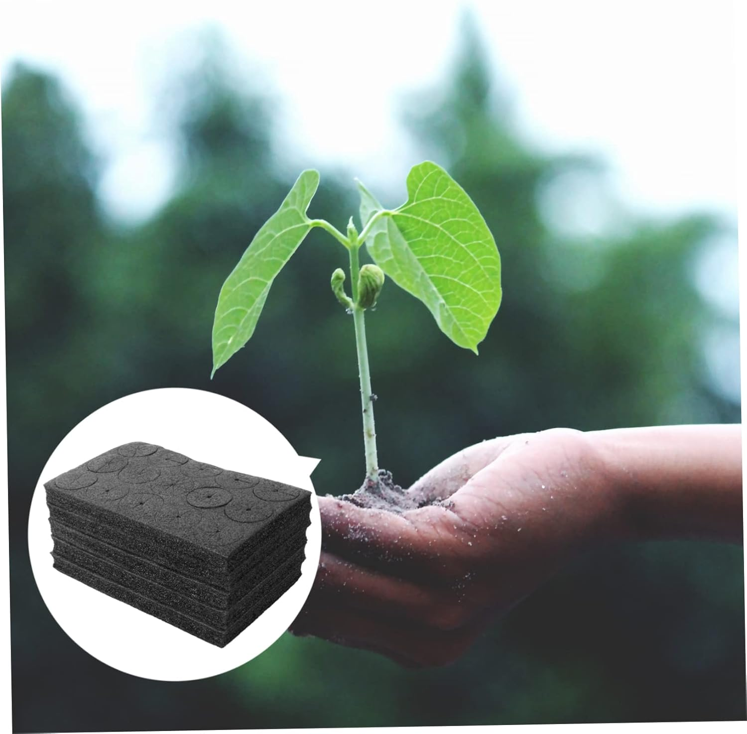 BESPORTBLE 225Pcs Hydroponic Planter Sponge for Vegetable Cultivation Greenhouse Hydroponic Sponge Garden for Home Growing System image number 6
