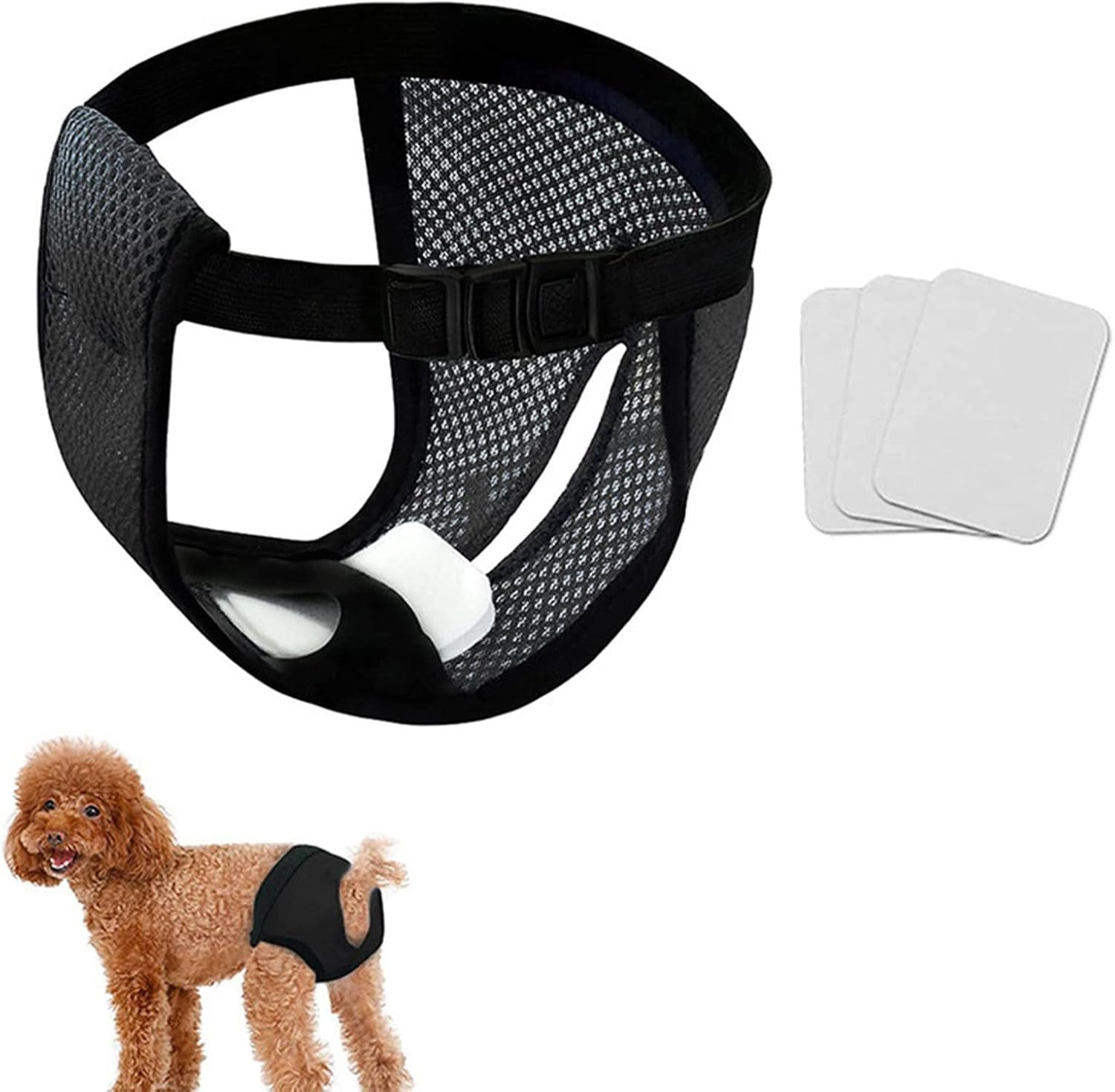 Heat Pants for Female Dogs, Protective Pants, Washable Heat Pants, Menstrual Pants for Female Dogs, Reusable Dog Nappies, Dog Trousers, Female Heat Trousers, Dog Nappies, Black image number 3