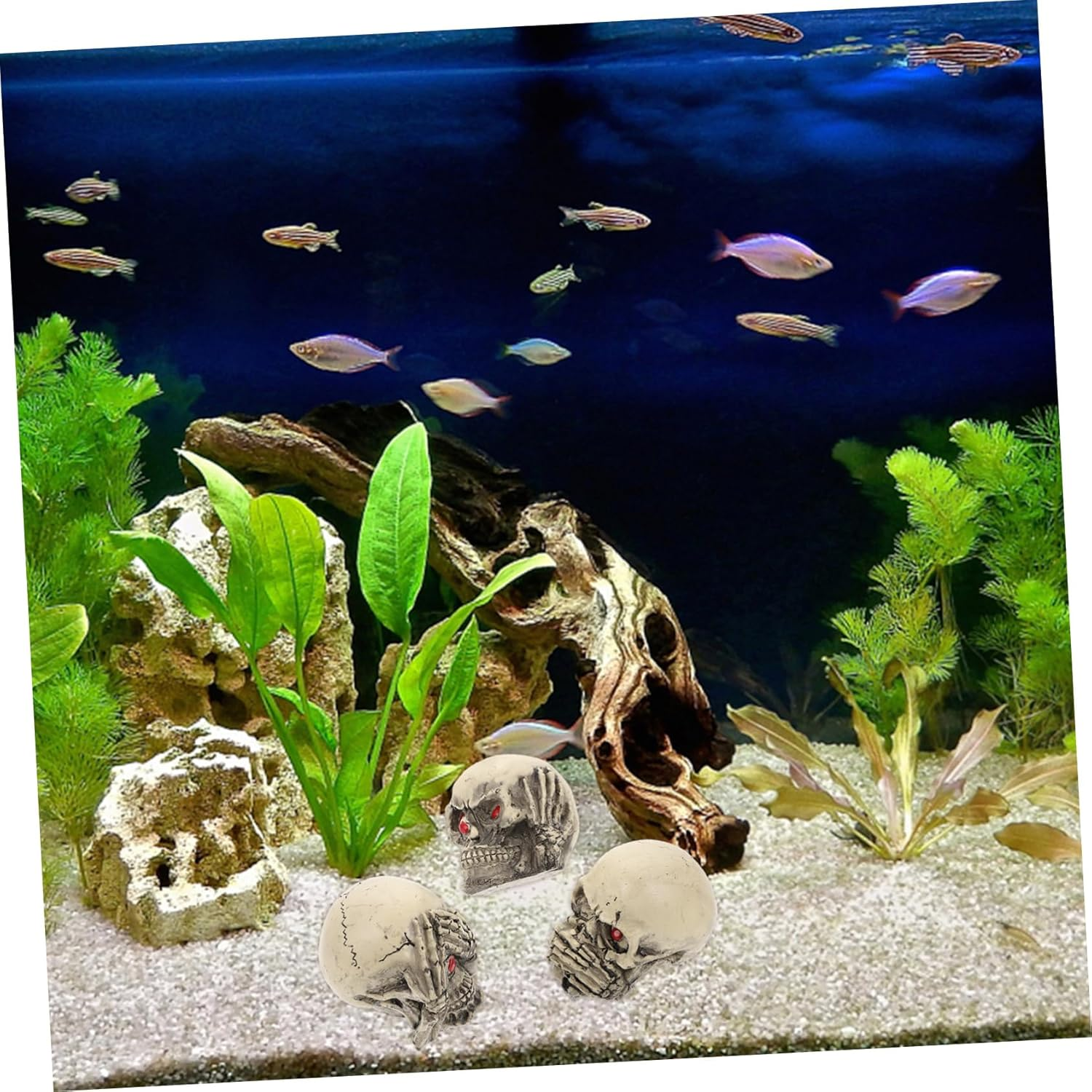 Happyyami 3Pcs Resin Skulls Aquarium Decorations for Fish Tanks and Crawling Pets Halloween Tabletop Ornaments Unique Haunted House Props for Party and Photo Pranks image number 6