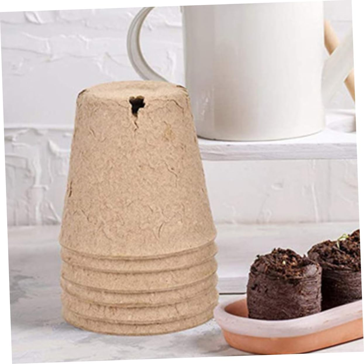 TINEASUR 50Pcs round Paper Pulp Pots for Gardening Nursery Drainage for Growth and Easy Care image number 5