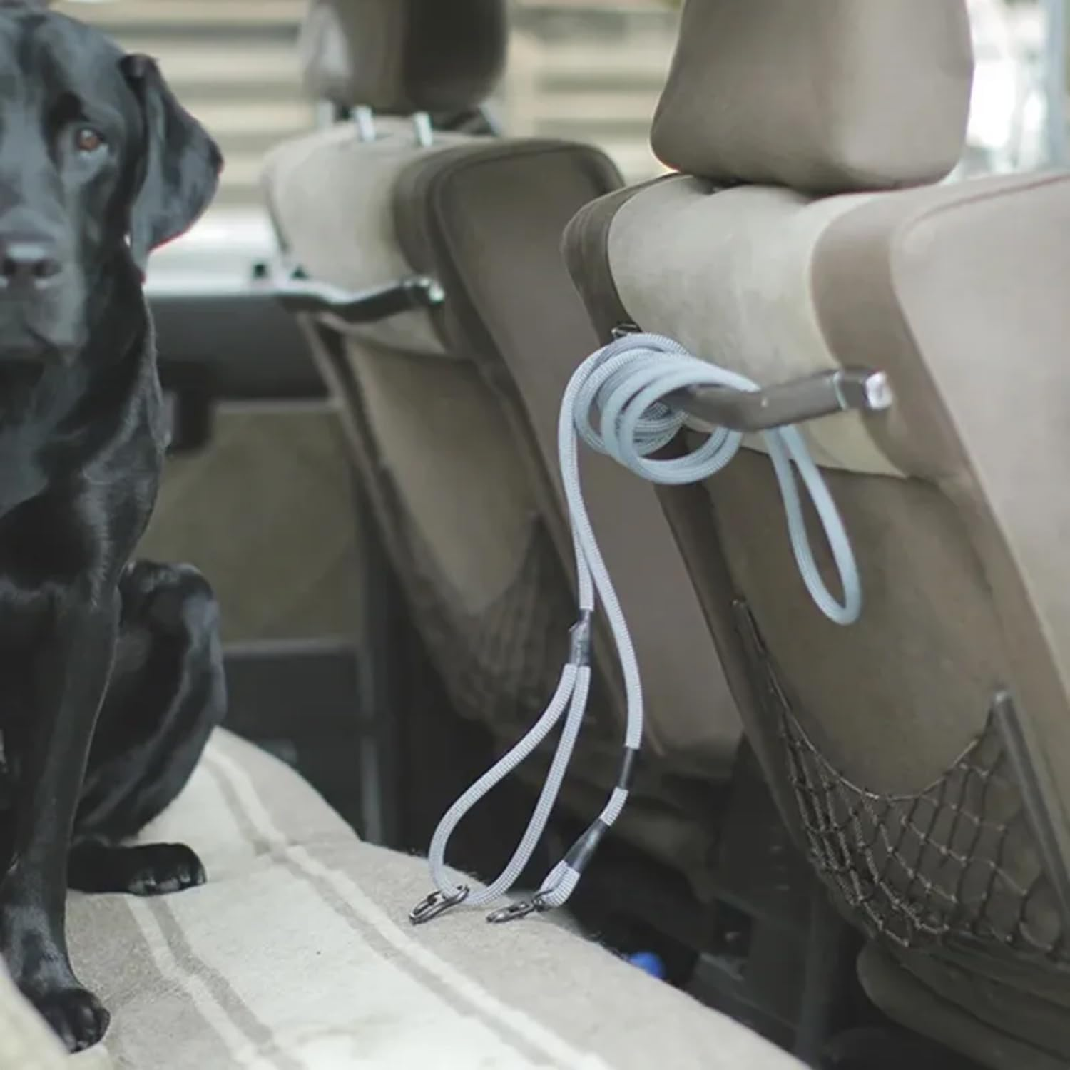 We Original Waterproof Rope Lead (3.9 Ft (1.4 M) / Good Manners Dog Series image number 5