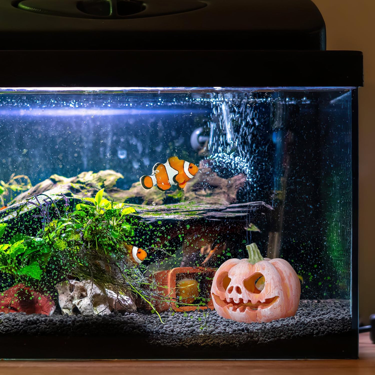MHFOOU Halloween Fish Tank Decor, Small Resin Pumpkin Fish Hideout House Ornament, Halloween Aquarium Decorations for Aquarium Landscape, Small Fish, Shrimps, Frogs, Spider, 3.93X3.54X3.14 Inch image number 1
