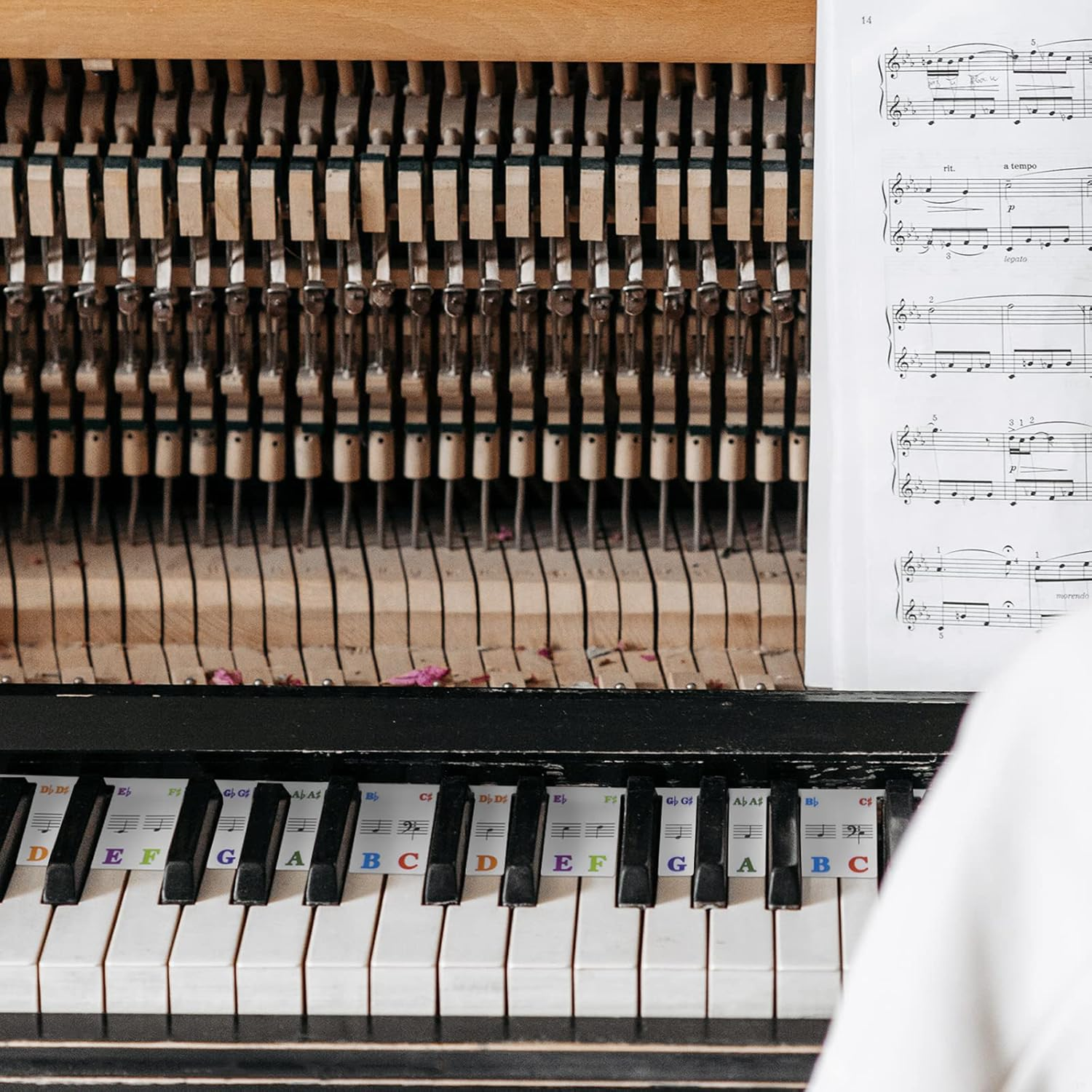 Piano Keyboard Notes Guide, 88 Full-Size Piano Key Labels No Need Stickers, Reusable Removable for Music Learners Beginners with Box image number 1