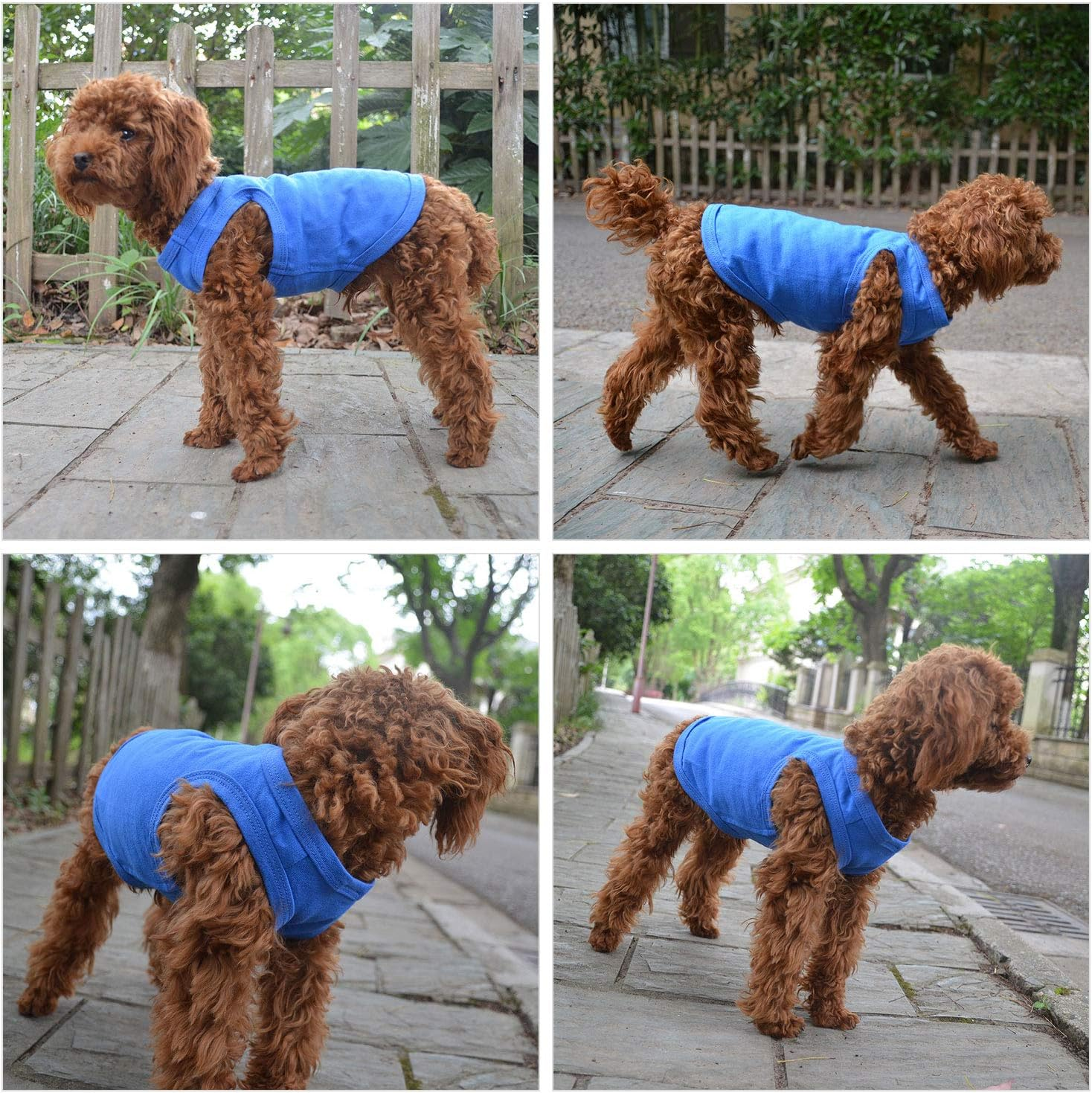 2018 Pet Clothes Dog Clothing Blank T-Shirt Tanks Top Vests for Small Middle Large Size Dogs 100% Cotton Dog Summer Vest Classic (S, Blue) image number 2