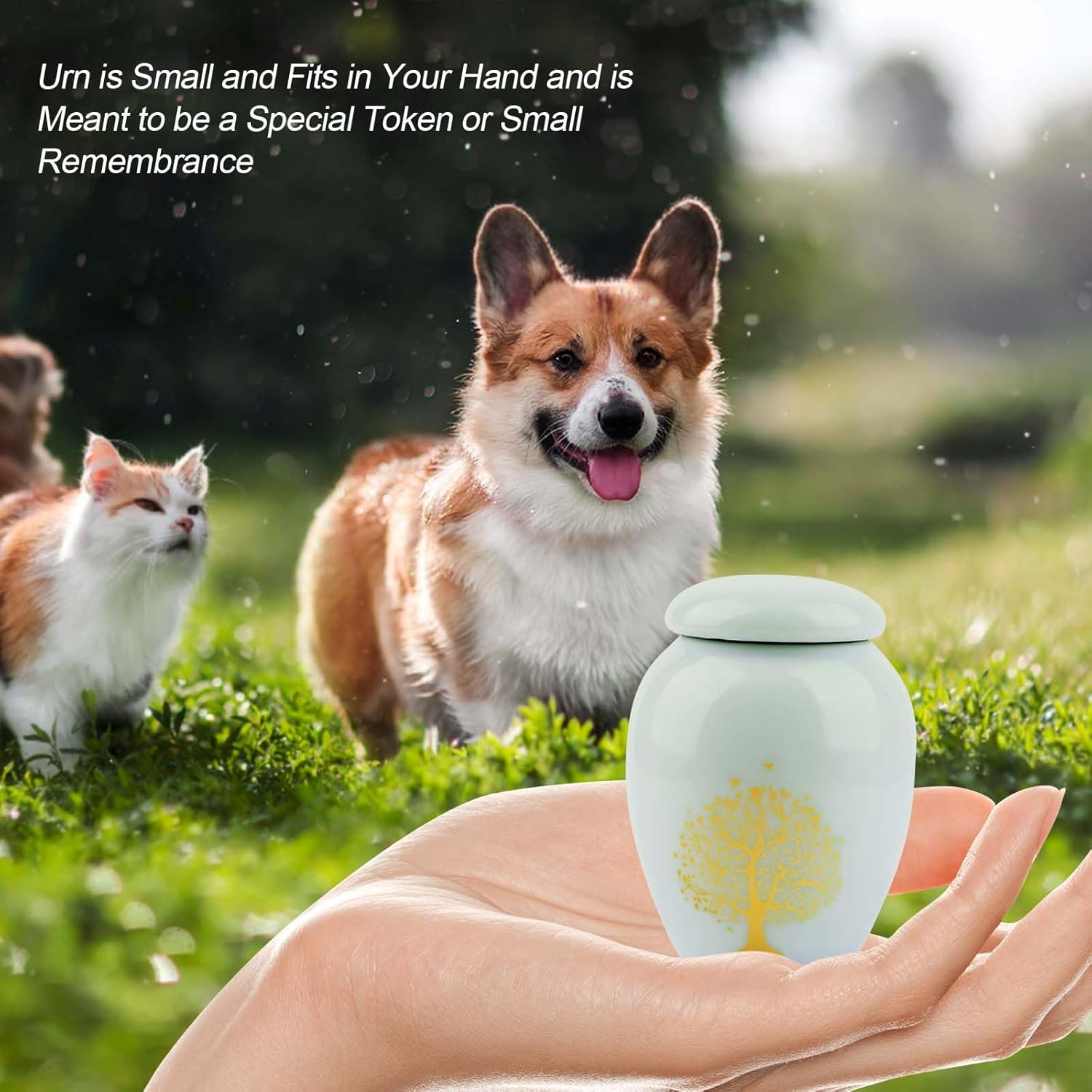Pet Cremation Urns, Mini Urn with Engraved Tree of Life Pattern, Mini Keepsake Urn for Pet Ashes, Urns for Cat Ashes, Dogs and Small Pets (Light Blue) image number 1
