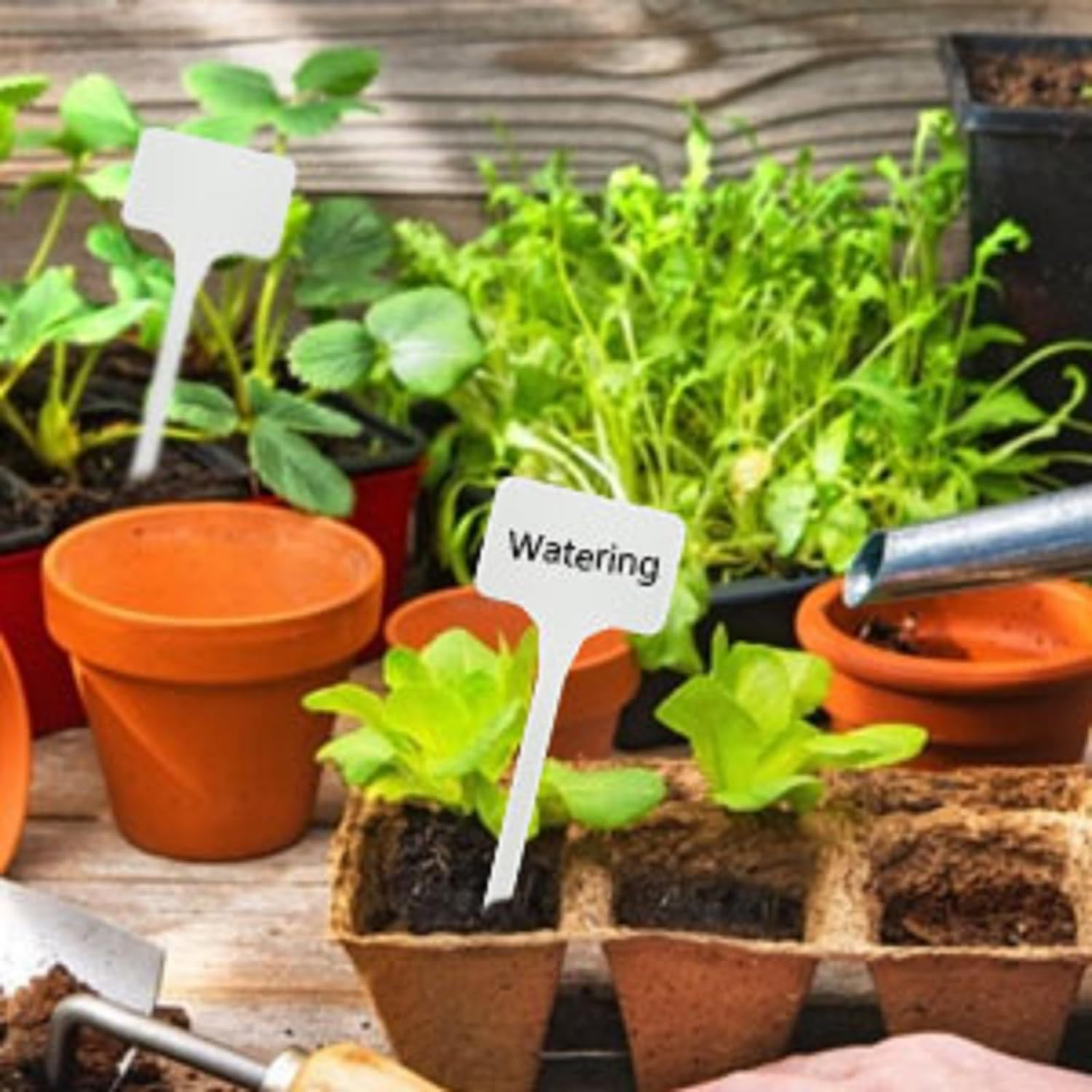 KINGLAKE GARDEN Large Plastic Plant Labels 6 Inch 50 Pack White Sturdy Extra Large T-Style Plastic Plant Labels for Flower Beds,Plant Pots image number 6