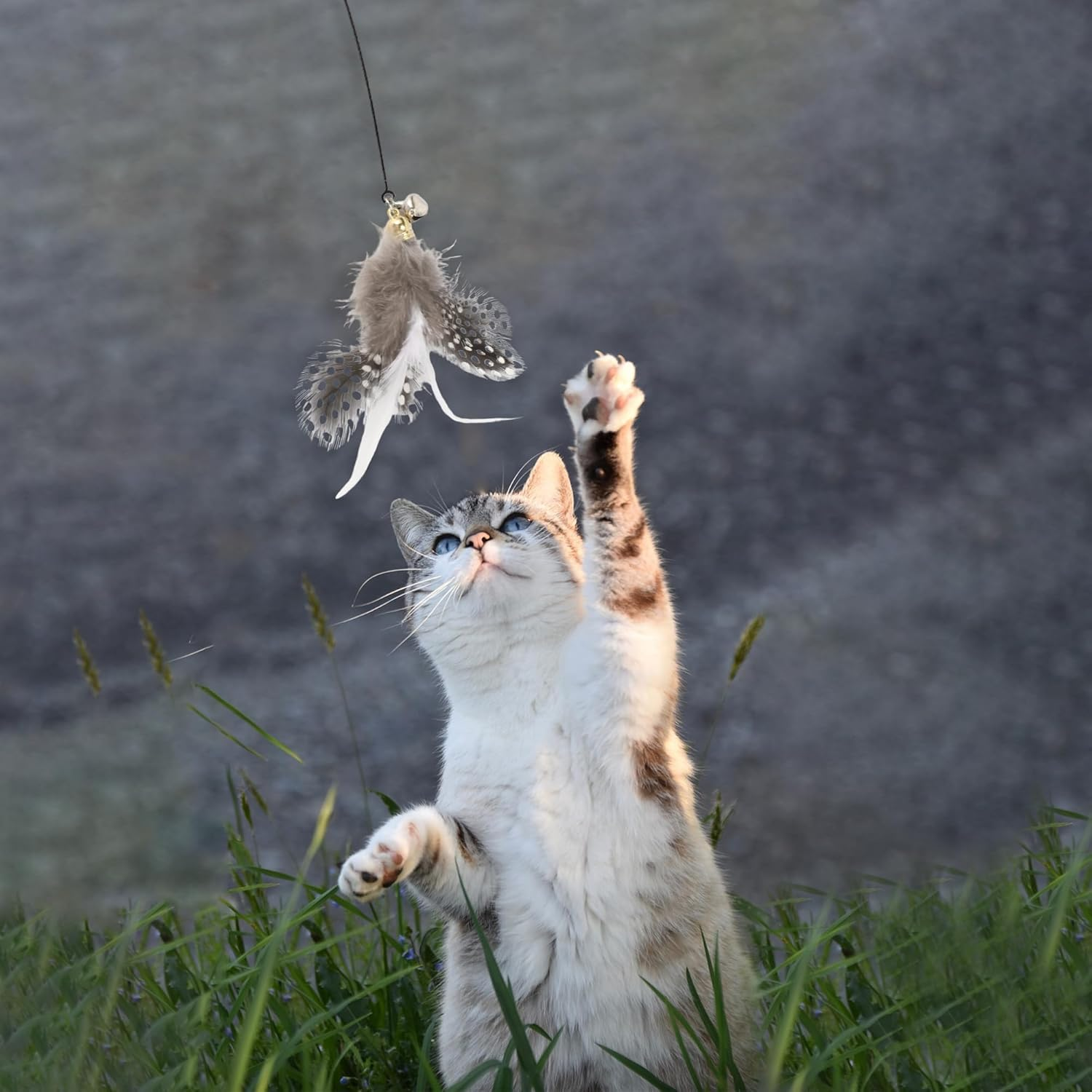 CAPASTEC Pack of 2 Feather Cat Wand Replacement for Pet Interactive, Black/White image number 4