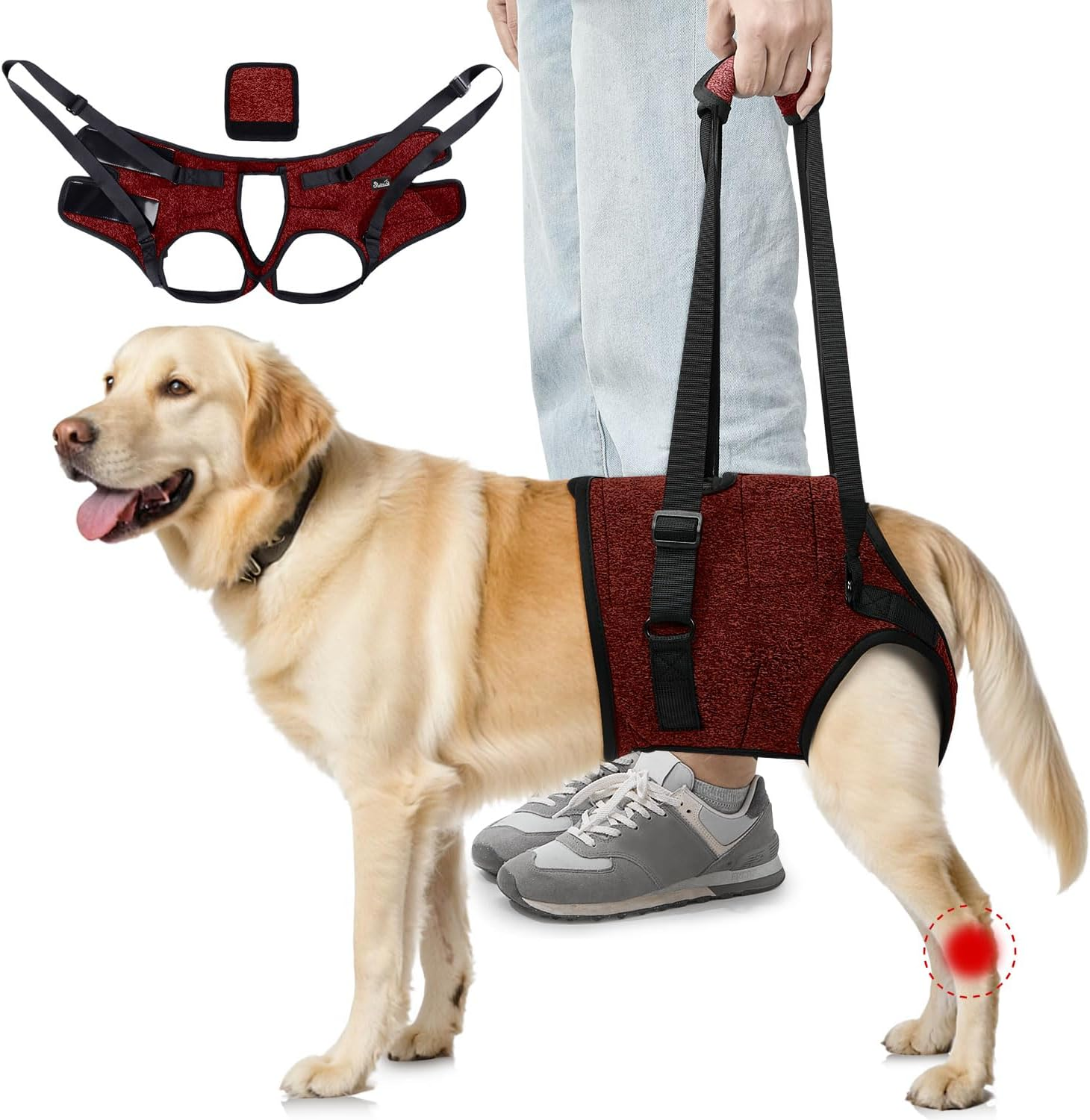 AUTOWT Dog Sling Harness, Hind Leg Support Sling for Elderly Injured Arthritic Disabled Dogs Provides Rehabilitation Aid for Weak Back Legs, Comfy Pet Auxiliary Harness for Walking Climbing