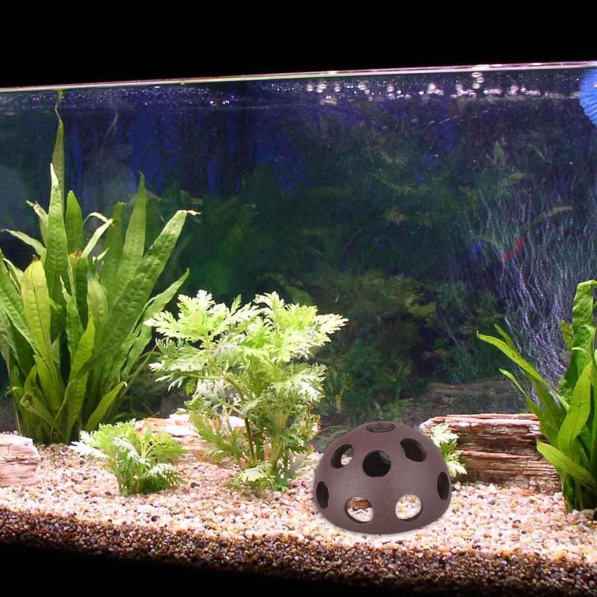 EXAOMBLE 2 Pcs Porous Ceramic Shrimp Breeding Nest Set Small Hemisphere Shrimp House for Aquarium Fish Tank Underwater Suitable for Aquatic Pets image number 1