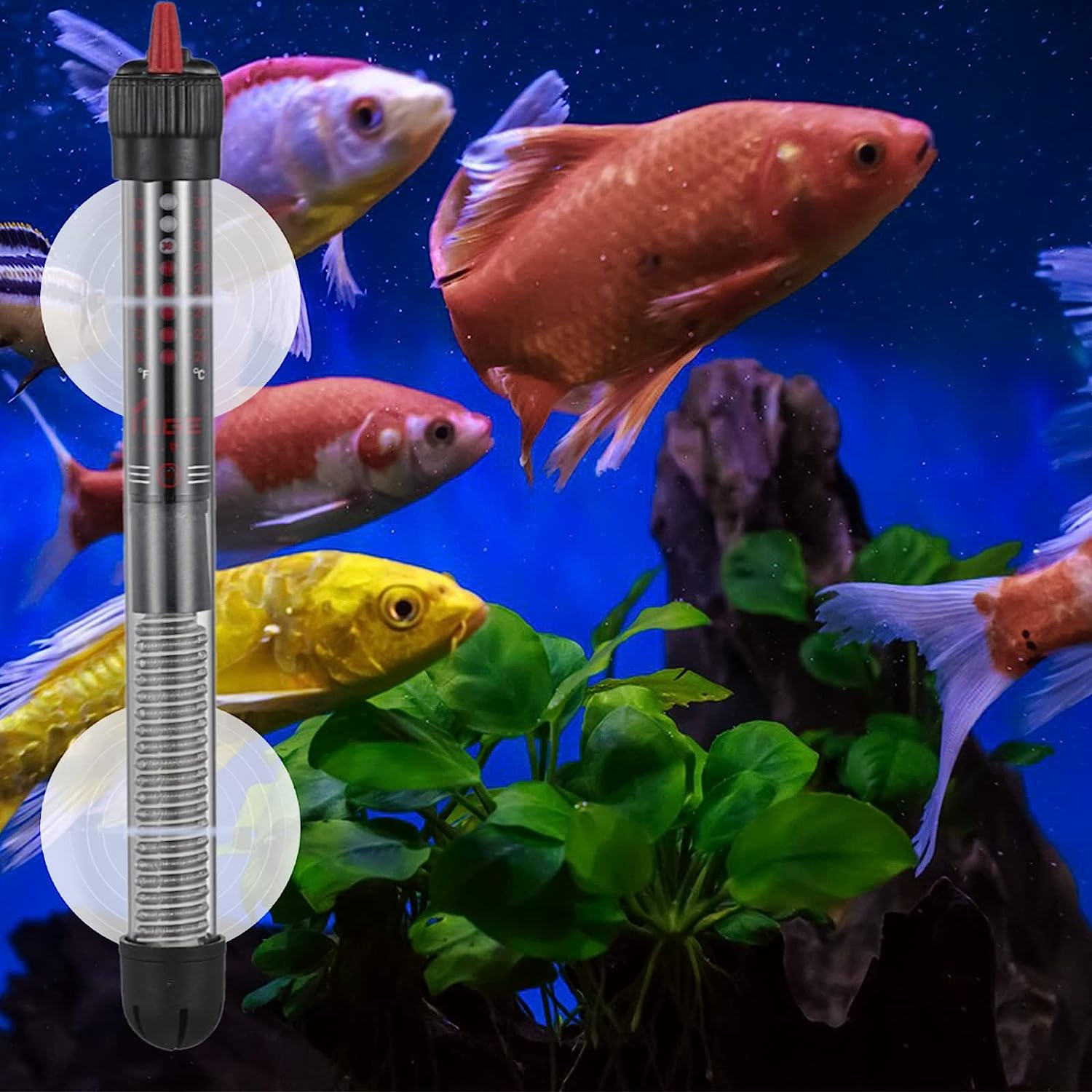 30 Pcs Car Glass Windshield Sunshade Suction Cups Aquarium Pipe Suction Cups Clear Christmas Suction Cups with Loops for Kitchen Bathroom Office Glass Window image number 2