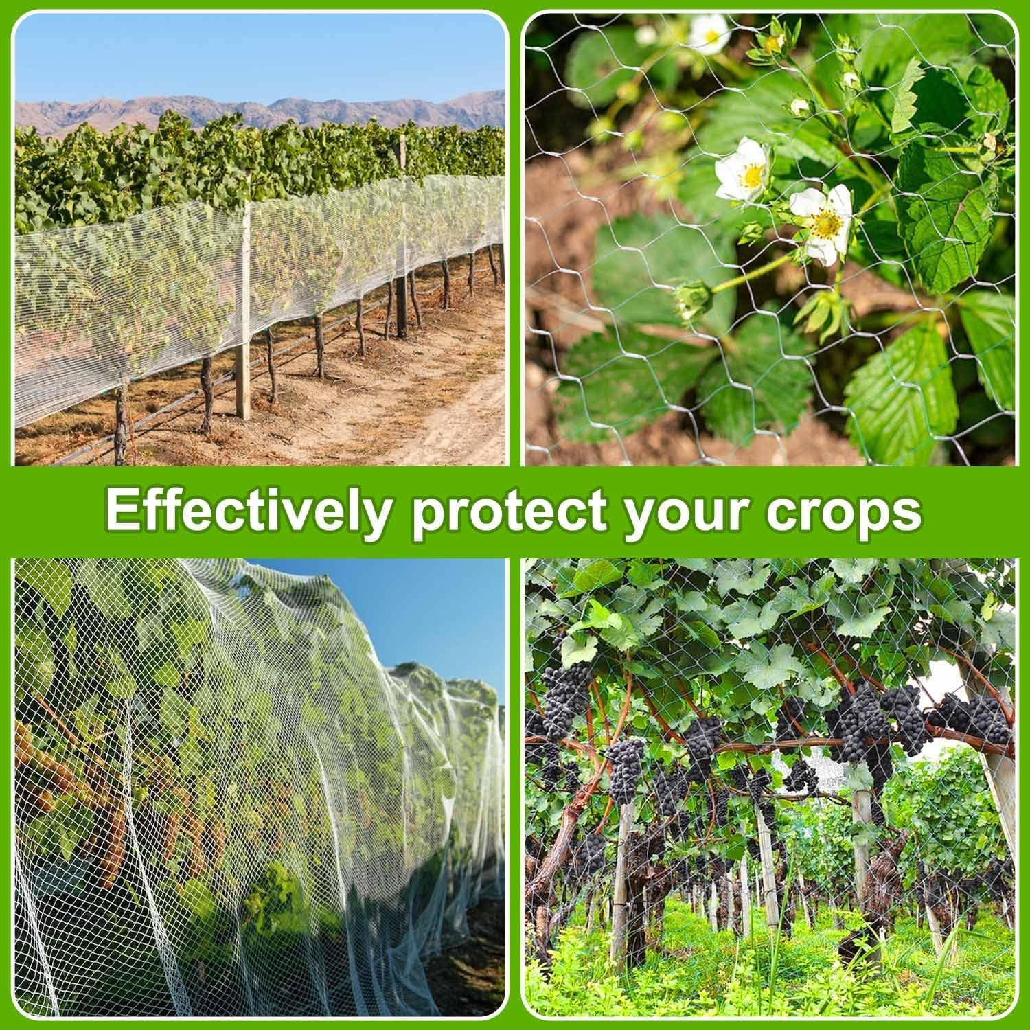 Lovesmile Cat Protection Net, 118 X 393.7 in Bird Protection Net, Tight Mesh, Pigeon Net, Mesh Size 0.98 X 0.98 Inches, Tear-Resistant, Reusable, No Drilling, for Garden, Balcony, Vegetable Gardens Or image number 1