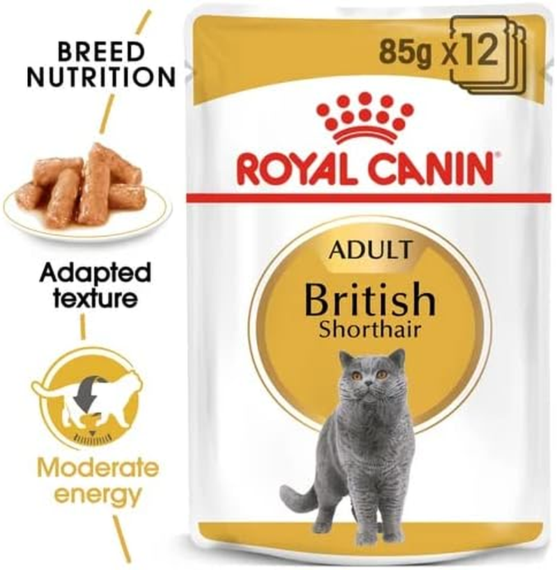 Royal Canin British Shorthair in Gravy Adult over 12 Months Pouches Wet Cat Food 85 GMS 12 Pack image number 4