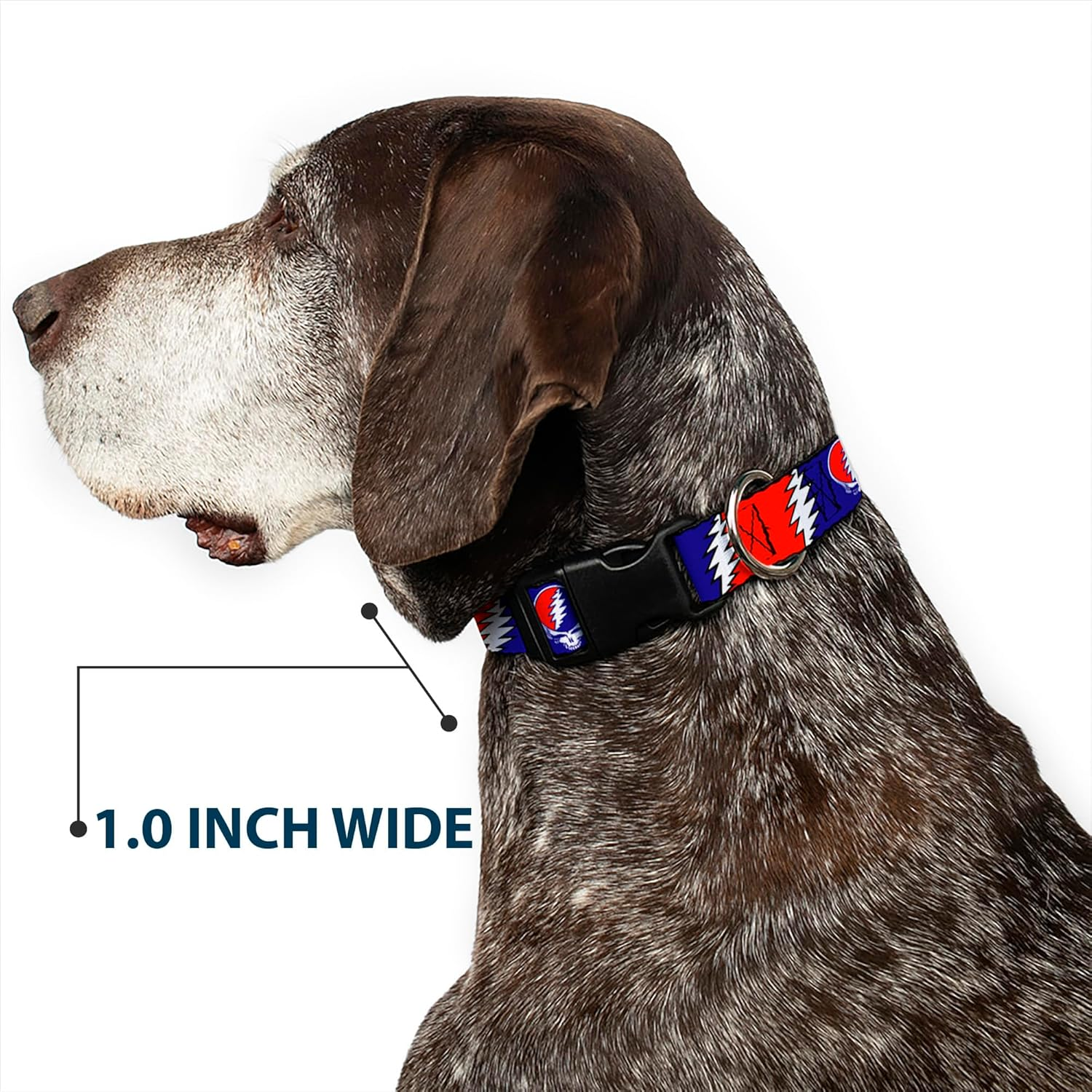 Dog Collar Plastic Clip Steal Your Face Lightning Bolt Repeat Red White Blue 15 to 26 Inches 1.0 Inch Wide image number 3