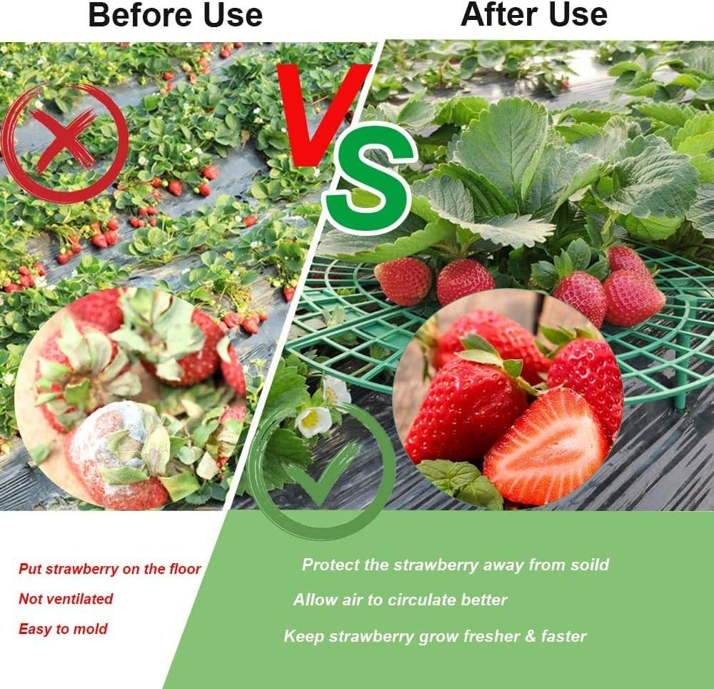 Medoore 5 Pack Strawberry Supports, Adjustable Strawberry Growing Racks Plant Climbing Rack Vine Pillar Garden Stand Balcony Vegetable Rack for Keeping Fruit Elevated to Avoid Ground Rot image number 2