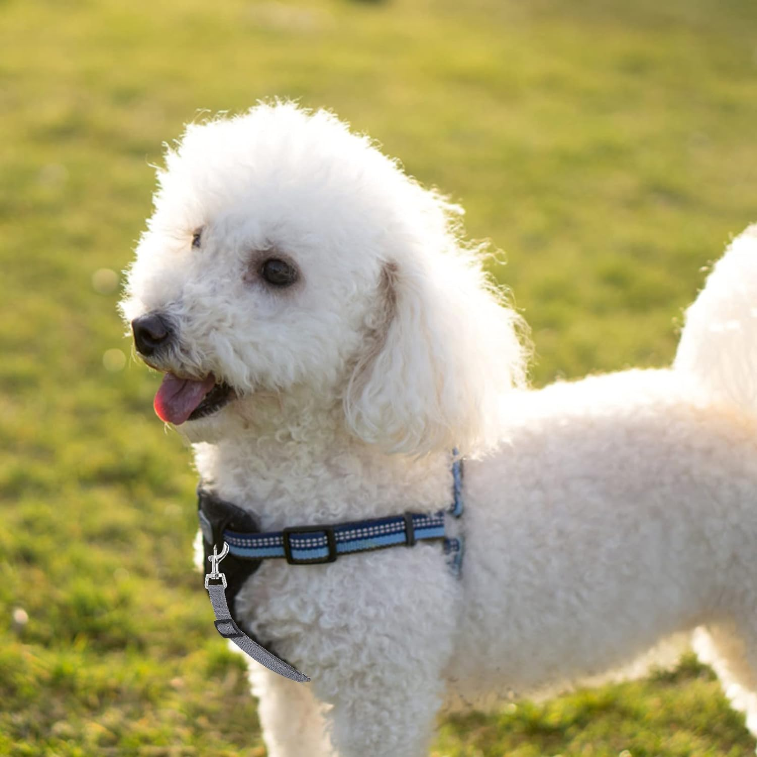 Molain Dog Collar Clips, 2 Pcs Adjustable Nylon Puppy Collar Reflective Backup Collar Double Ended Backup Clasp Clip Safety Dog Collar Harness Connector for Dog Puppies image number 1