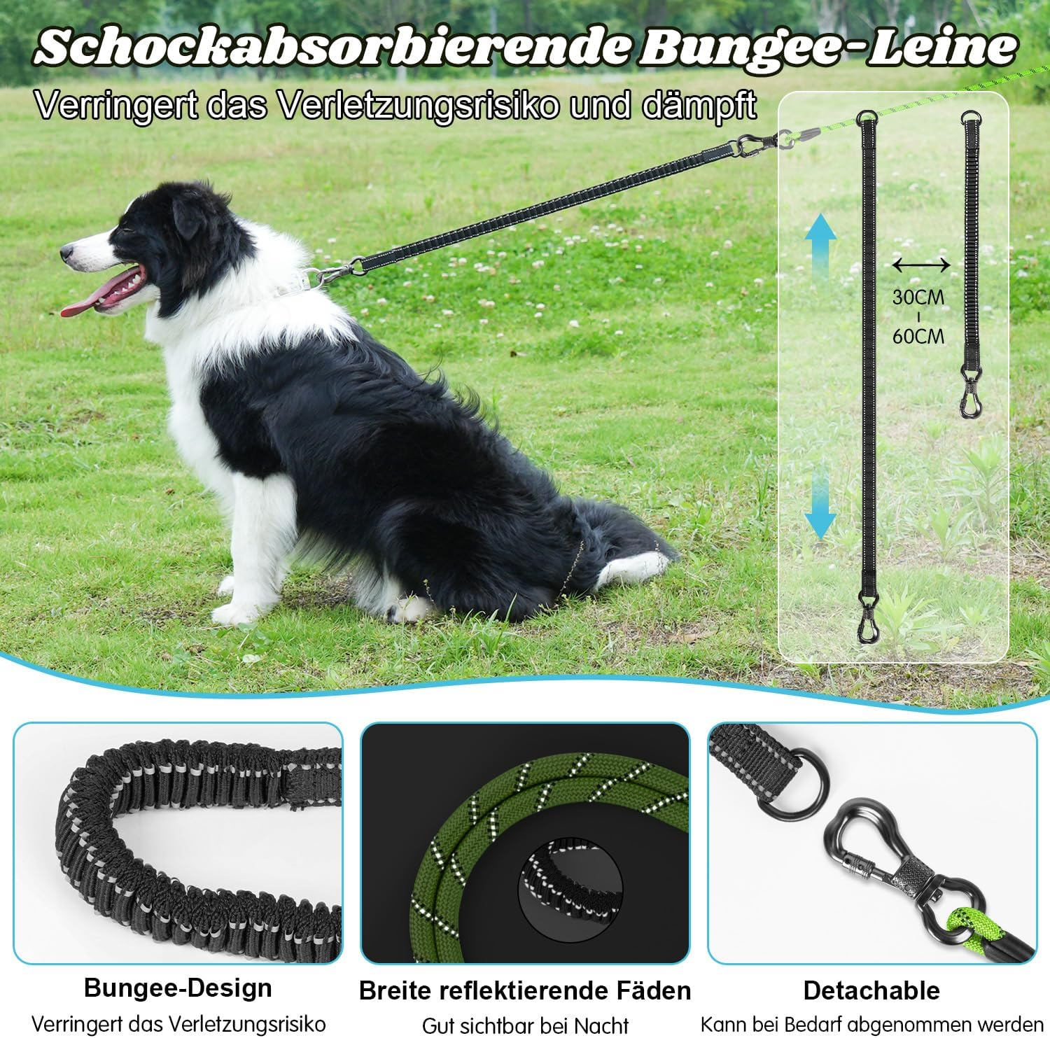 Aystkniet Bungee Recall Lead for Dogs 3 M 5 M 9 M 10 M 15 M 20 M 30 M, Shock-Absorbing Dog Lead with Padded Handle, Reflective Threads, Lockable Hook for Medium Large Dogs