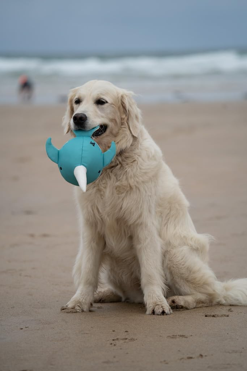 Petface Planet Ocean Cycle Niya Narwhal Plush Dog Toy (Pack of 1)