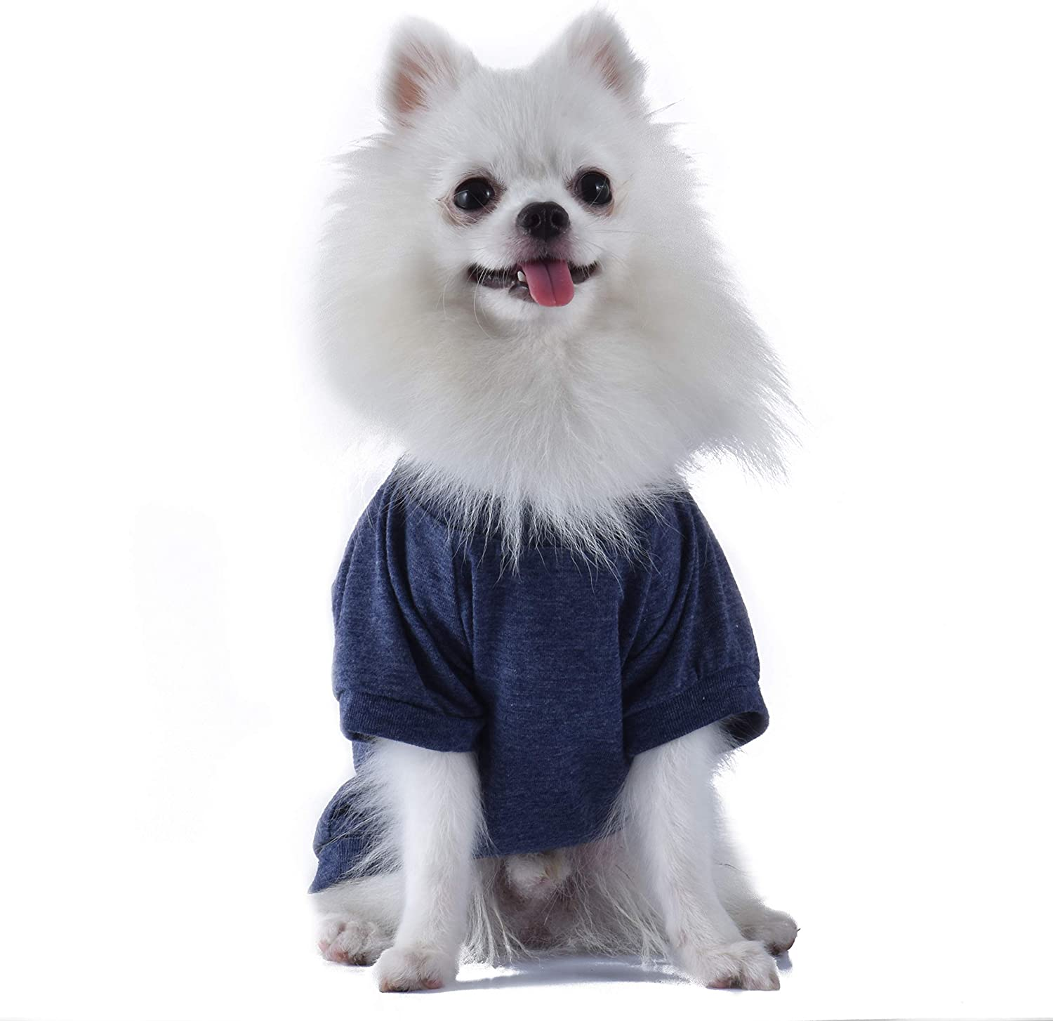 Star Wars Judge Me by My Size Dog Tee | Start Wars Dog Shirt for Small Dogs & Puppies | Small image number 6