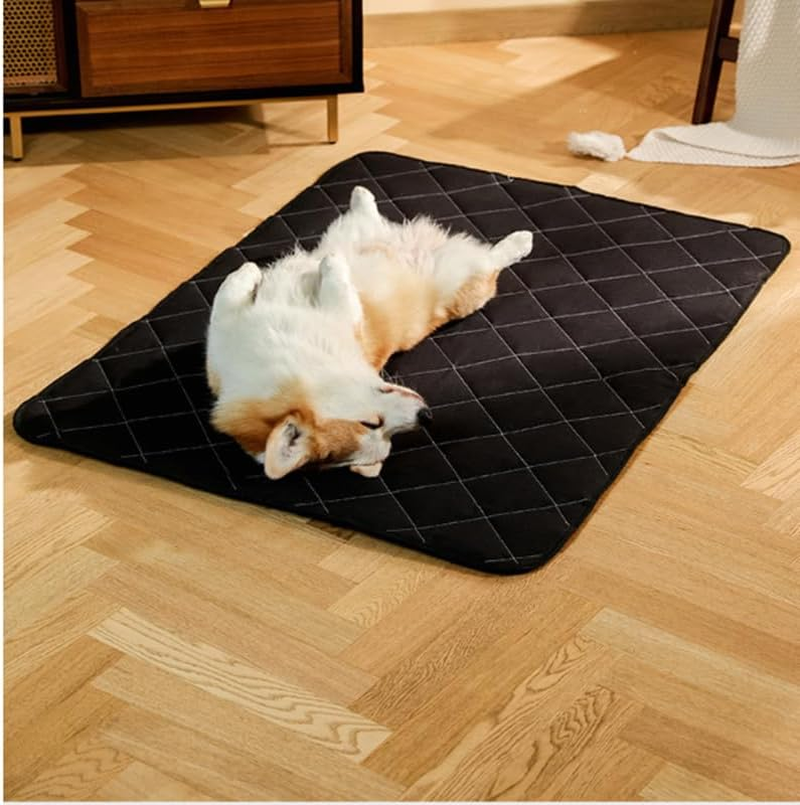 Waterproof Pet Blanket, Dog Blanket for on the Go, Travel Blanket, Restaurant Blanket to Take with You with Bag, Waterproof Outdoor/Indoor Dog Mat, 120 X 90 Cm image number 2
