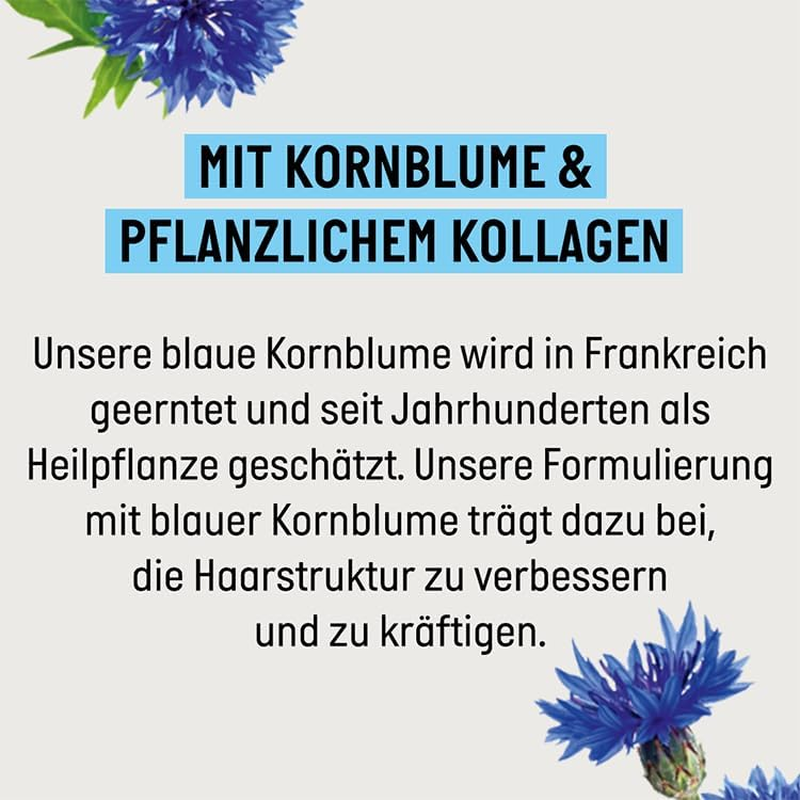 Guhl Long-Term Volume Shampoo - Contents: 250 Ml - Volume and Fullness for Fine Hair image number 1