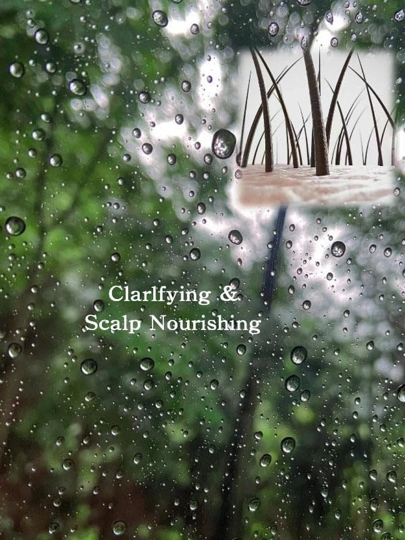 Joy Garden Ginger & Angelica Root Soapberry Soap Pod Herbal Shampoo Chinese Honey Locust Zao Jiao Gentle Herbal Shampoo TCM Shampoo 325Ml Vegan Oil-Control Clarifying and Nourishing Scalp Help Hair Voluminous