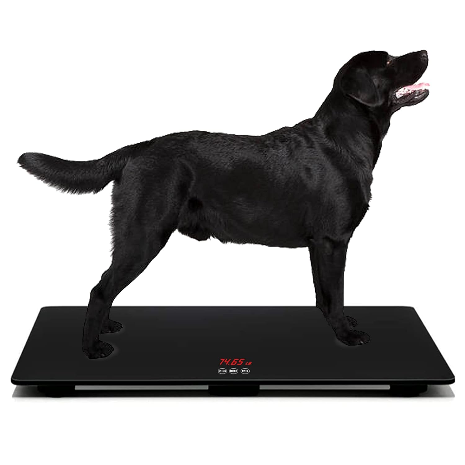 Multifunctional Pet Weight Scale for Large Dogs, Temp-Glass Big Dog Scale Hold 220Lbs Animals with a Mat, &plusmn;10 Grams Accuracy, for Home and Vet Clinic Use image number 2