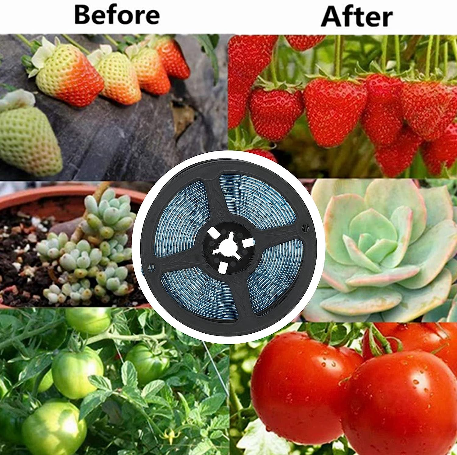 Solar Plant Grow Light Strip, 5W Solar Powered LED Plant Growing Lamp with Solar Panel Fast Heat Dissipation, Full Spectrum Plant Light for Outdoor Indoor Garden Greenhouse Potted image number 6